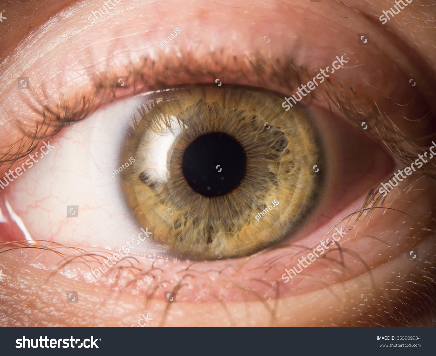 Human eye detail #355909934