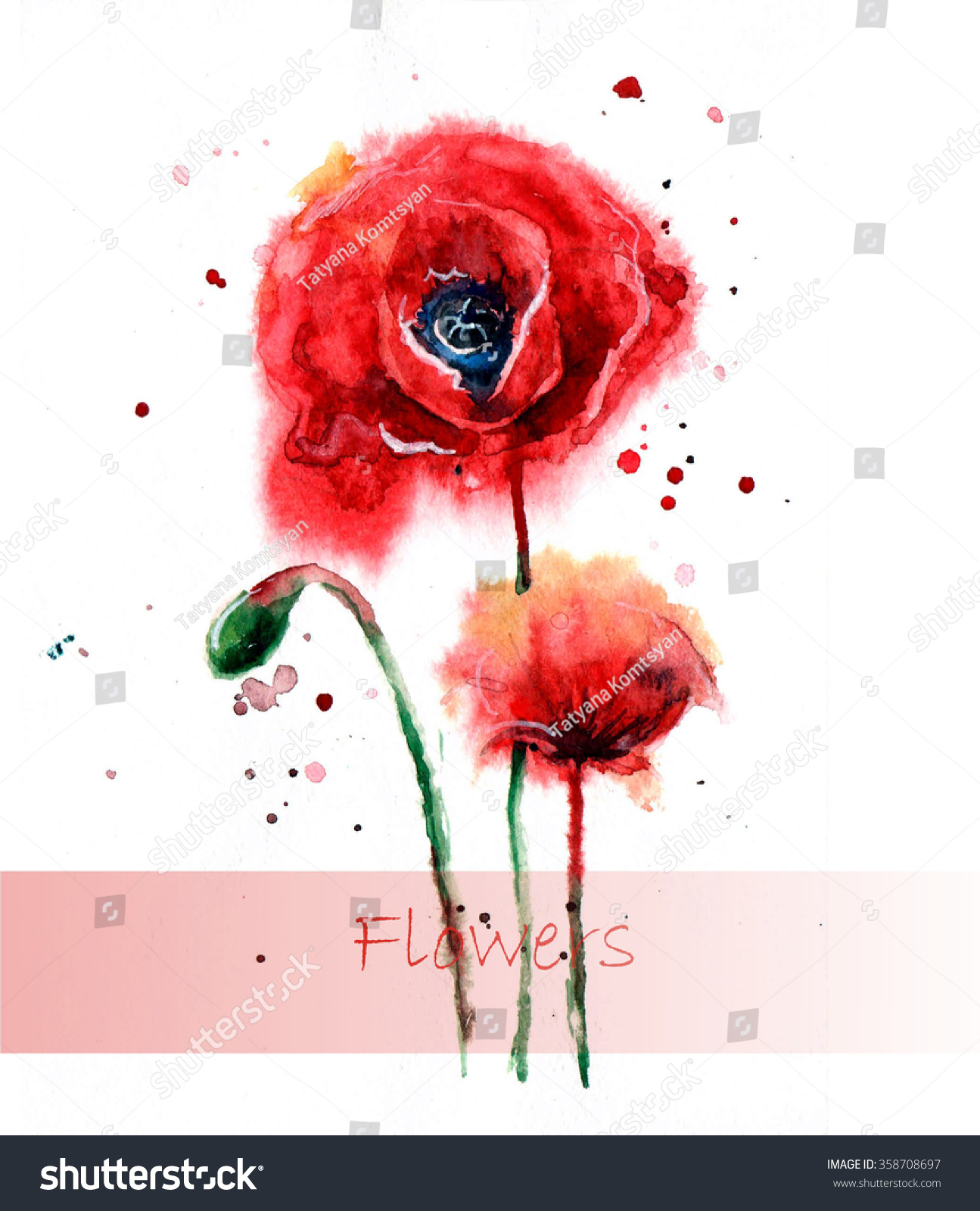 Beautiful Poppy flowers, Watercolor painting Isolated on white background.n Beauty print. flower sketch #358708697