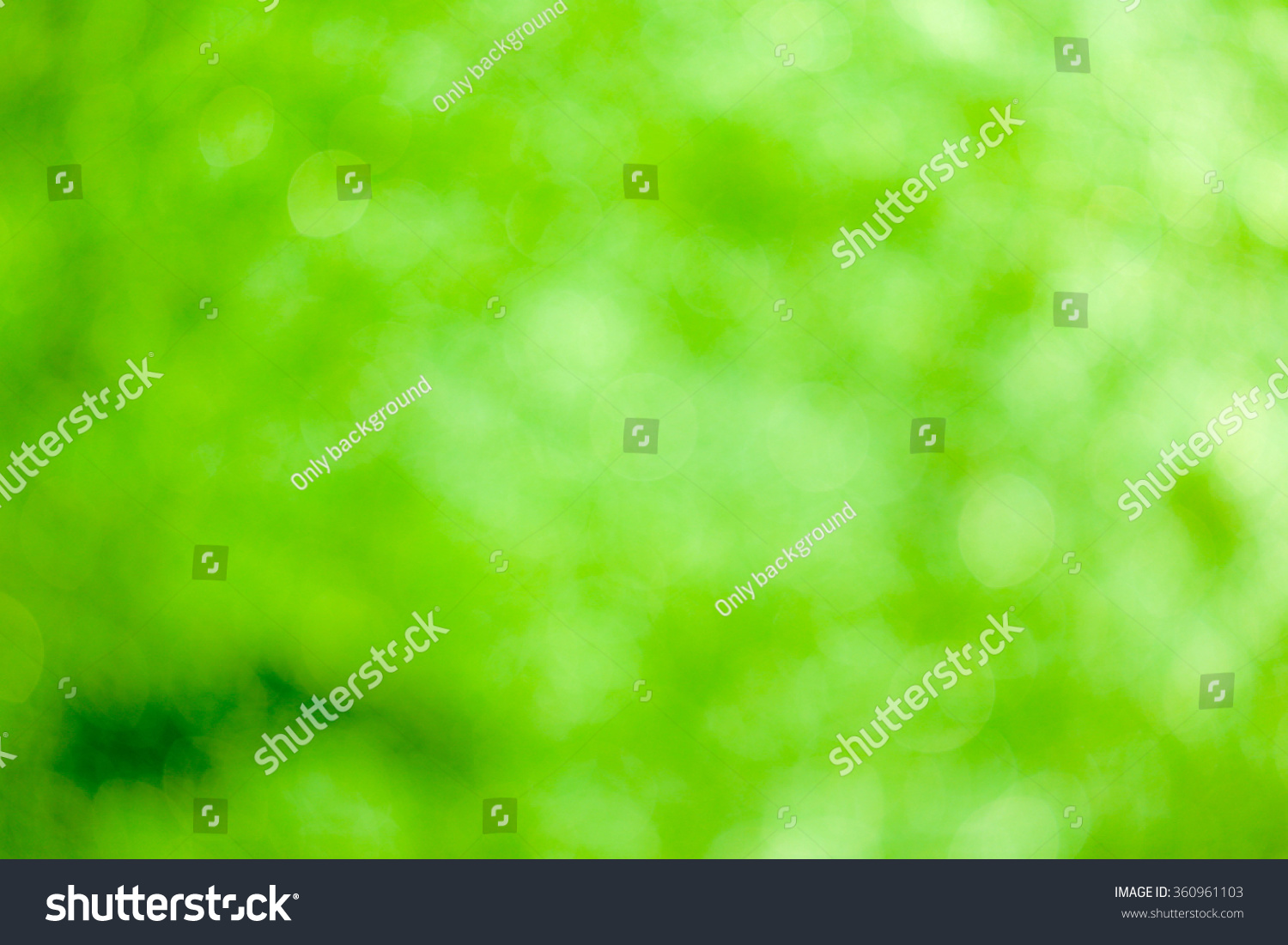 Green bokeh soft background #360961103