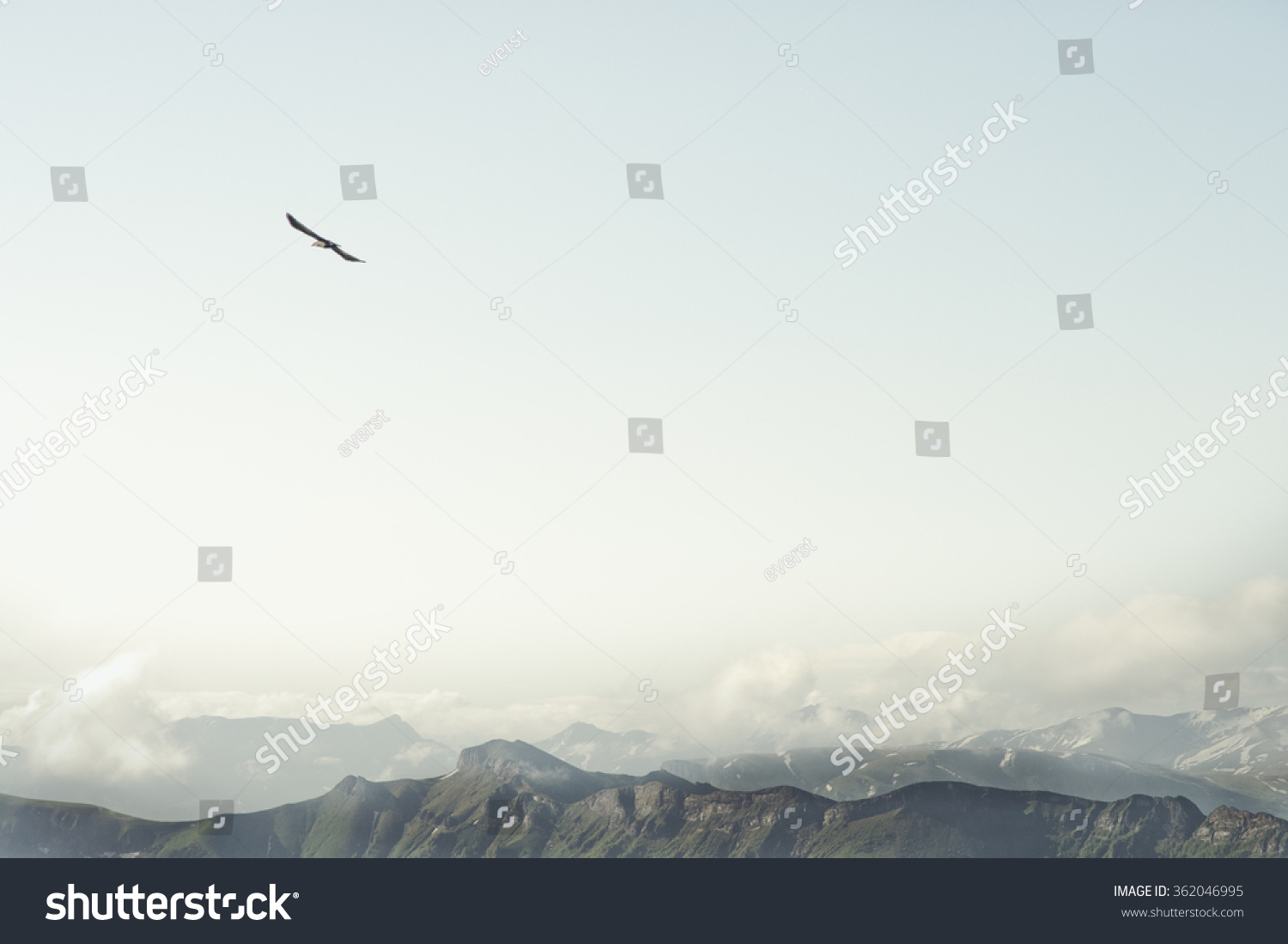 Rocky Mountains and flying eagle bird Landscape minimalistic style scenic aerial view  #362046995