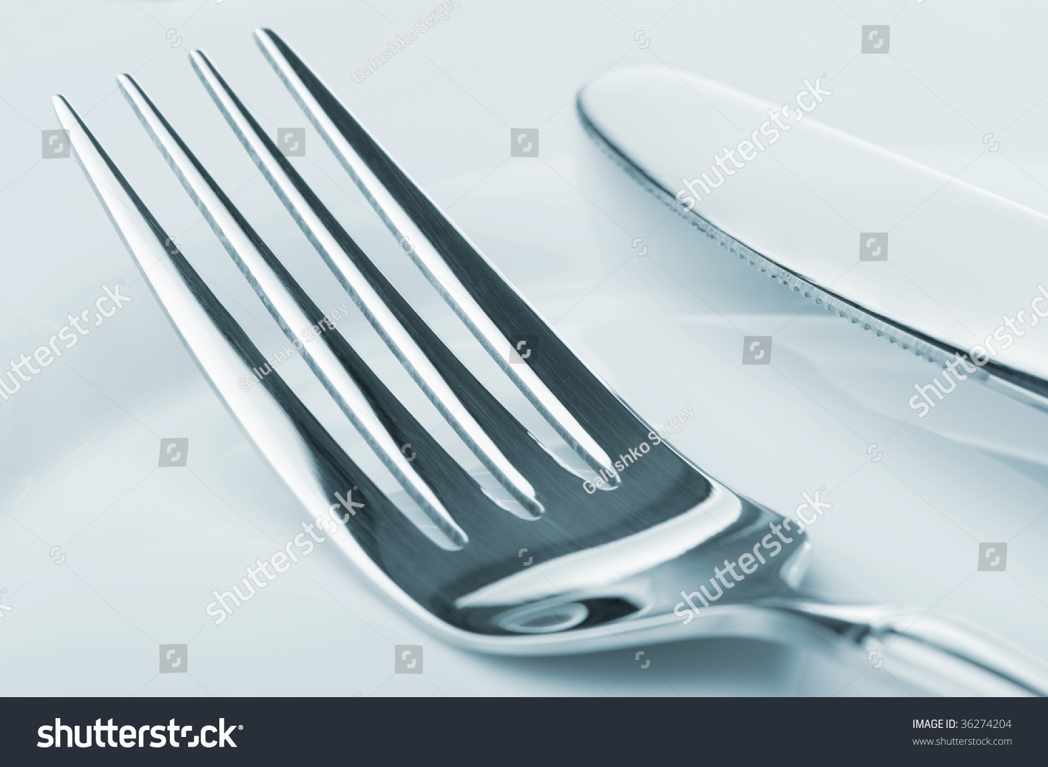 Knife and fork on a plate #36274204