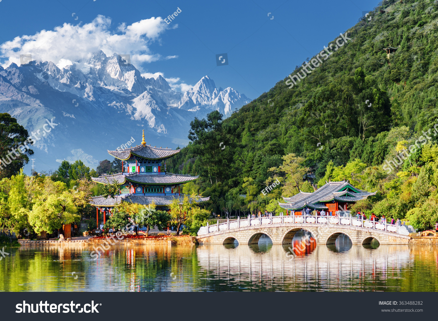 Amazing view of the Jade Dragon Snow Mountain and the Black Dragon Pool, Lijiang, Yunnan province, China. The Suocui Bridge over pond and the Moon Embracing Pavilion in the Jade Spring Park. #363488282