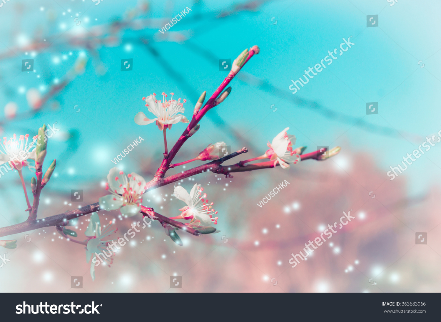 Spring nature background with tree blossom branches in park or garden #363683966