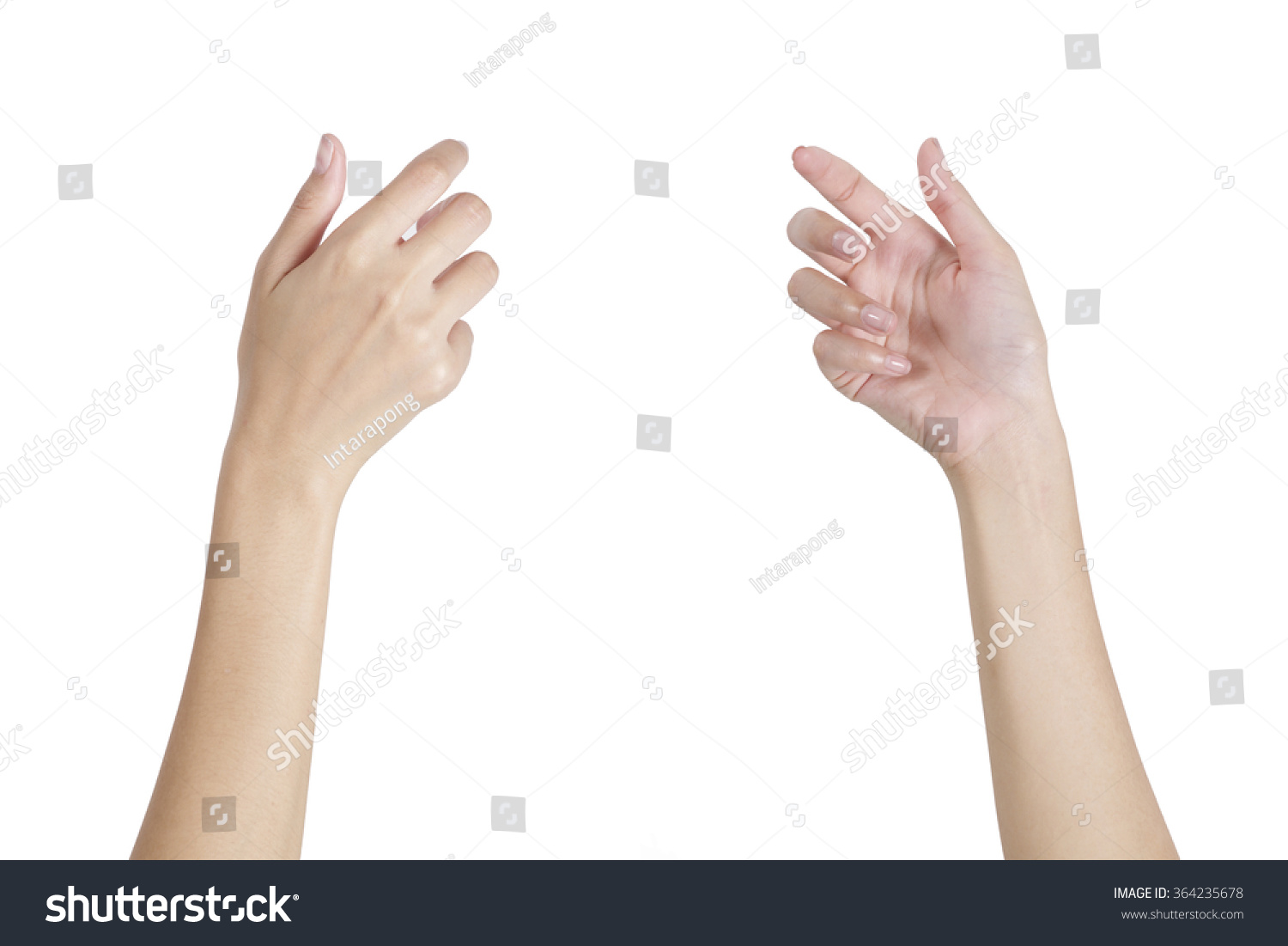 Woman's hands holding something empty front and back side, isolated on white background. #364235678