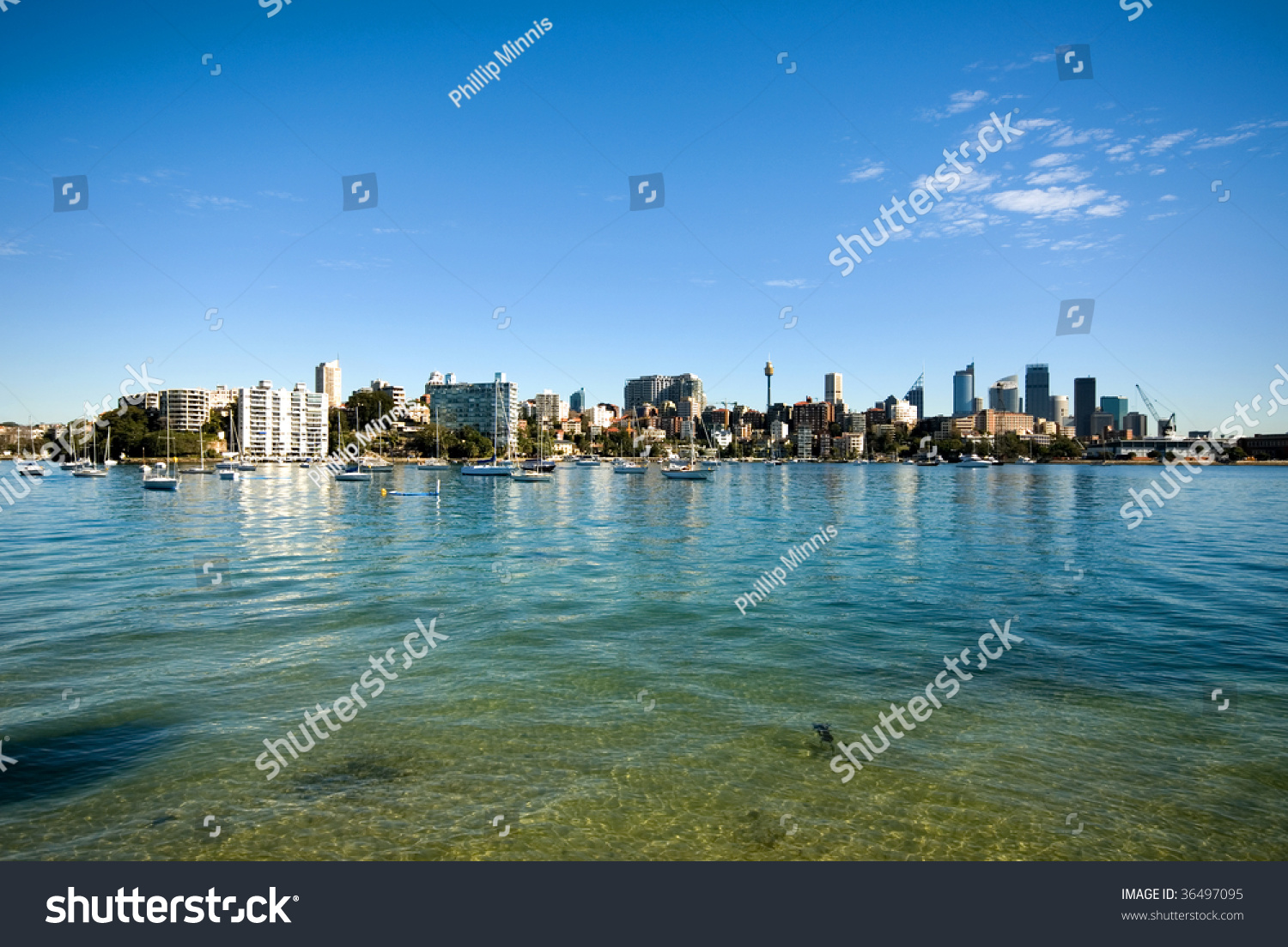 The crystal-clear waters of Rose Bay, Sydney Harbour, Australia #36497095