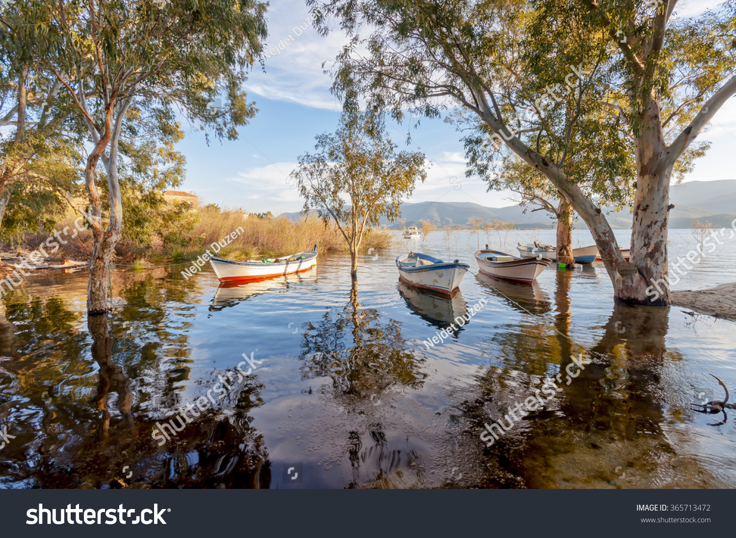 Bafa Lake, Turkey #365713472