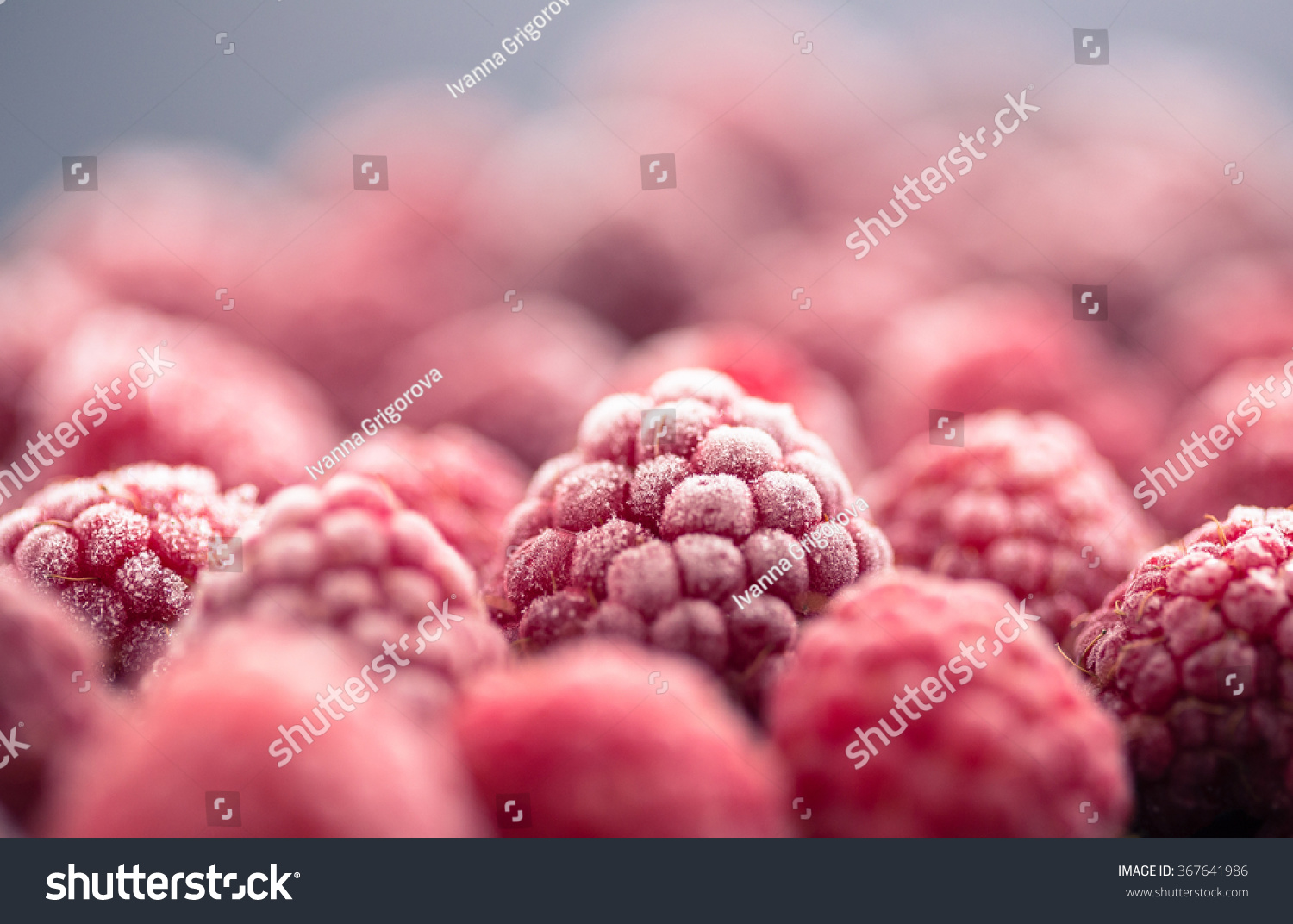  frozen raspberry on dark background #367641986