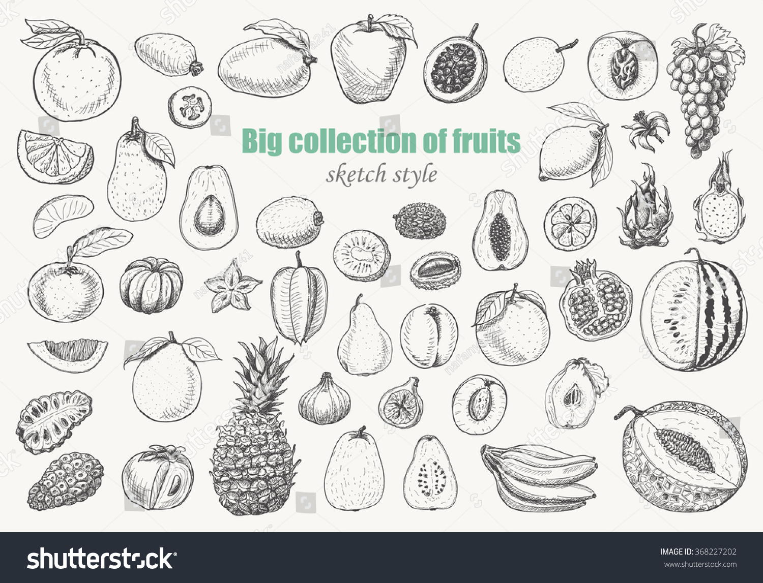 Big collection of fruits on white background. Vector  illustration for your design #368227202