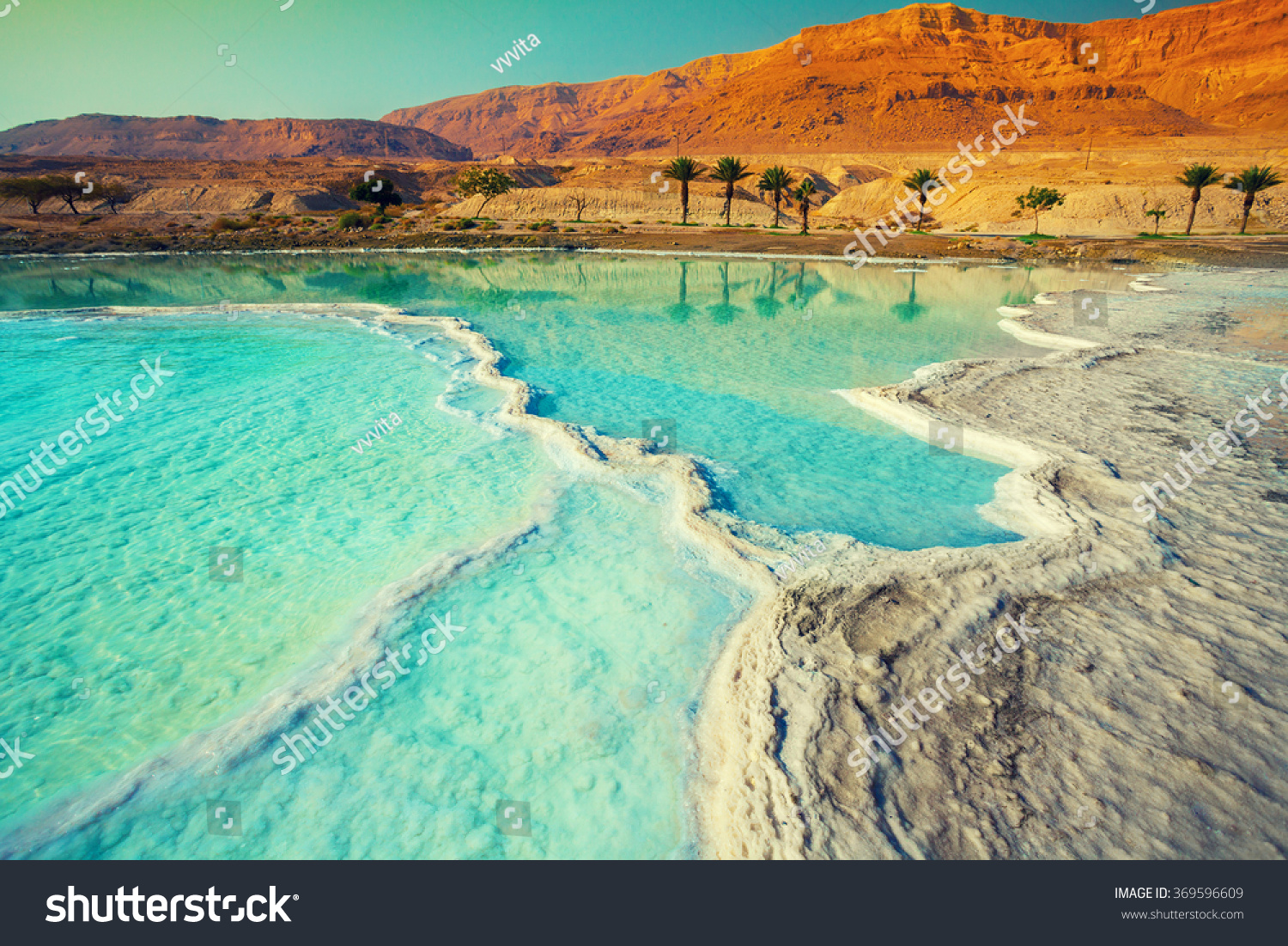 Dead sea salty shore. Wild nature. Tropical landscape. Summertime.  #369596609