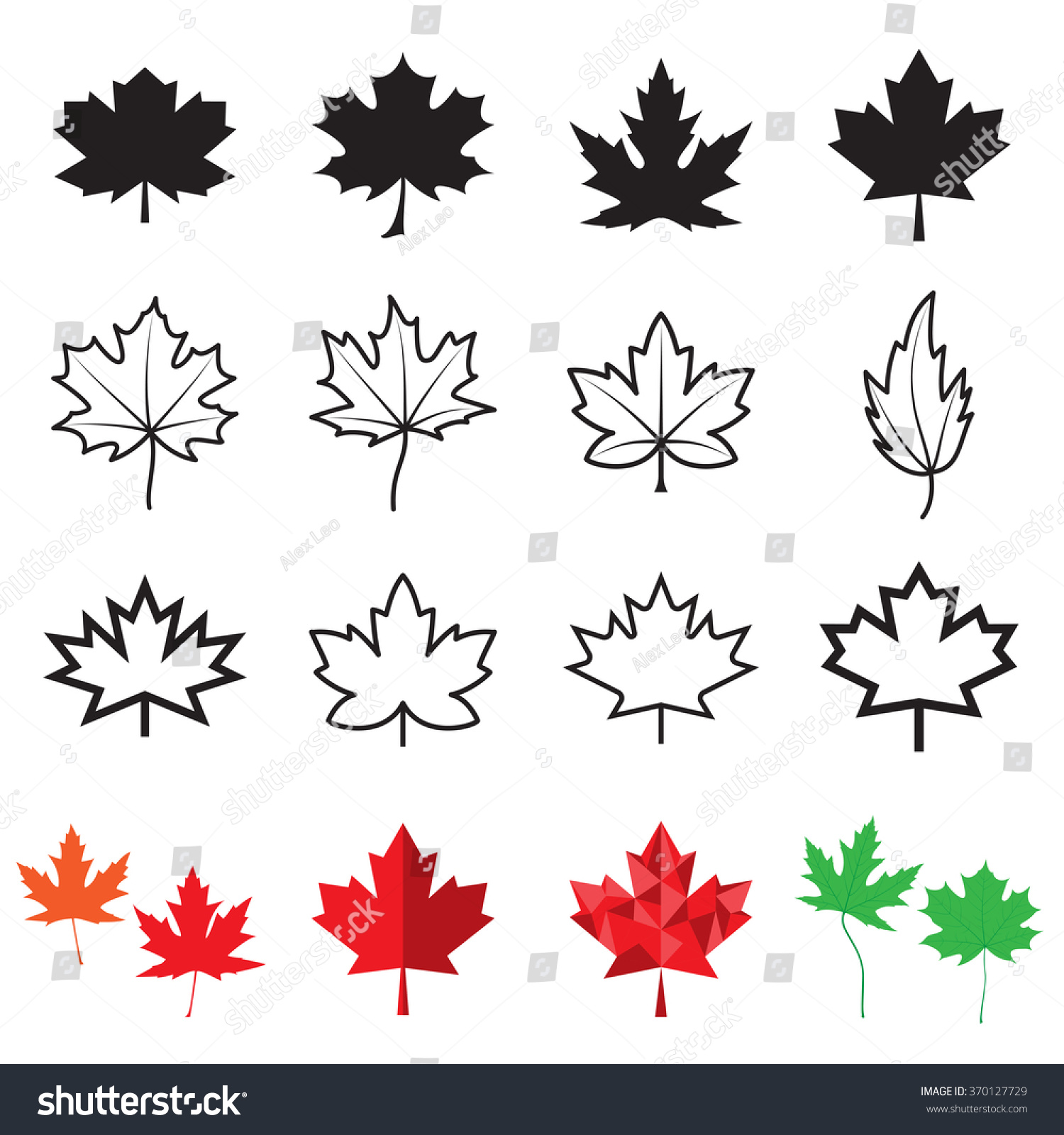 Maple leaf icons. Vector illustration #370127729