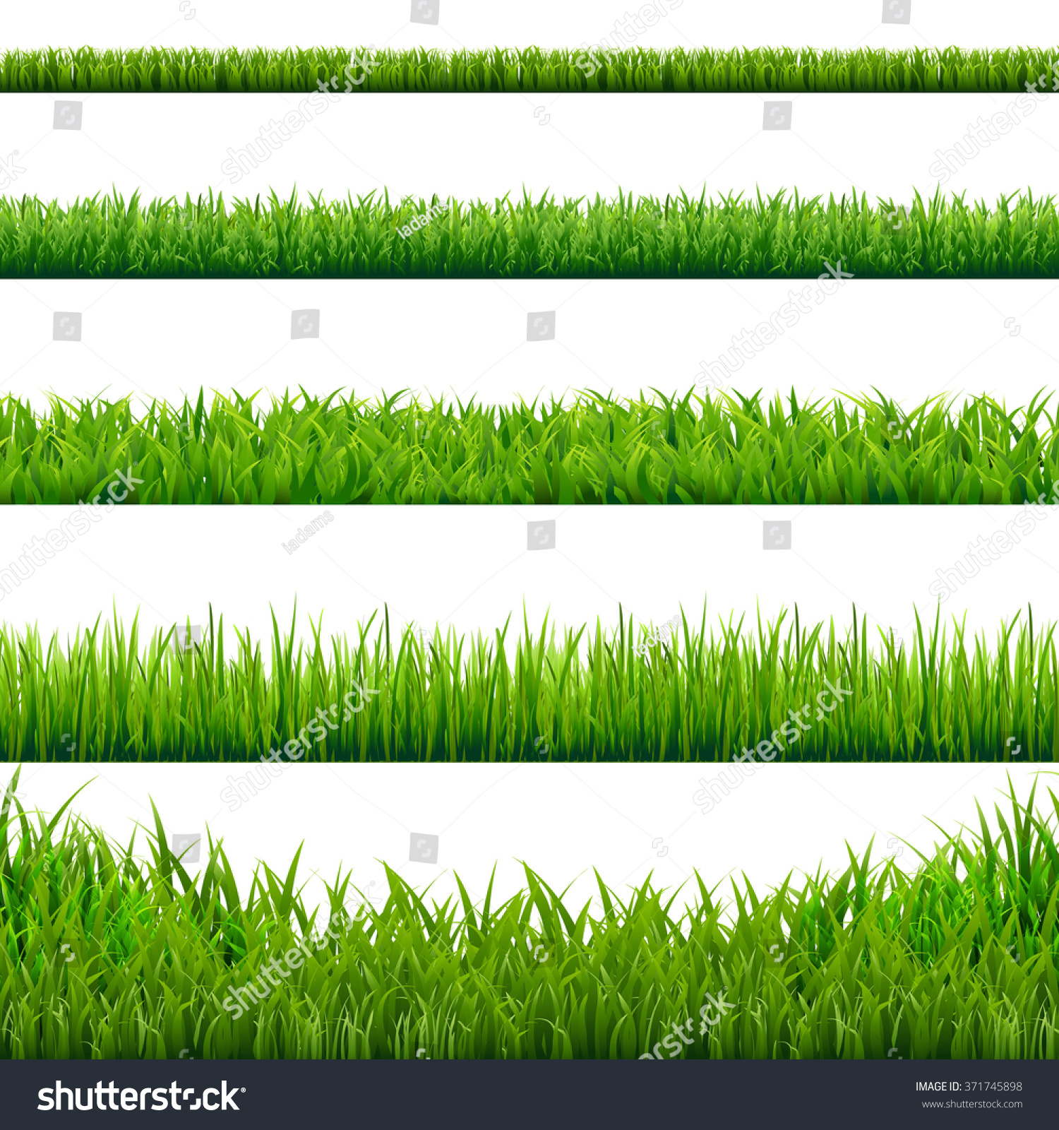 Big Grass Borders Set, Vector Illustration #371745898