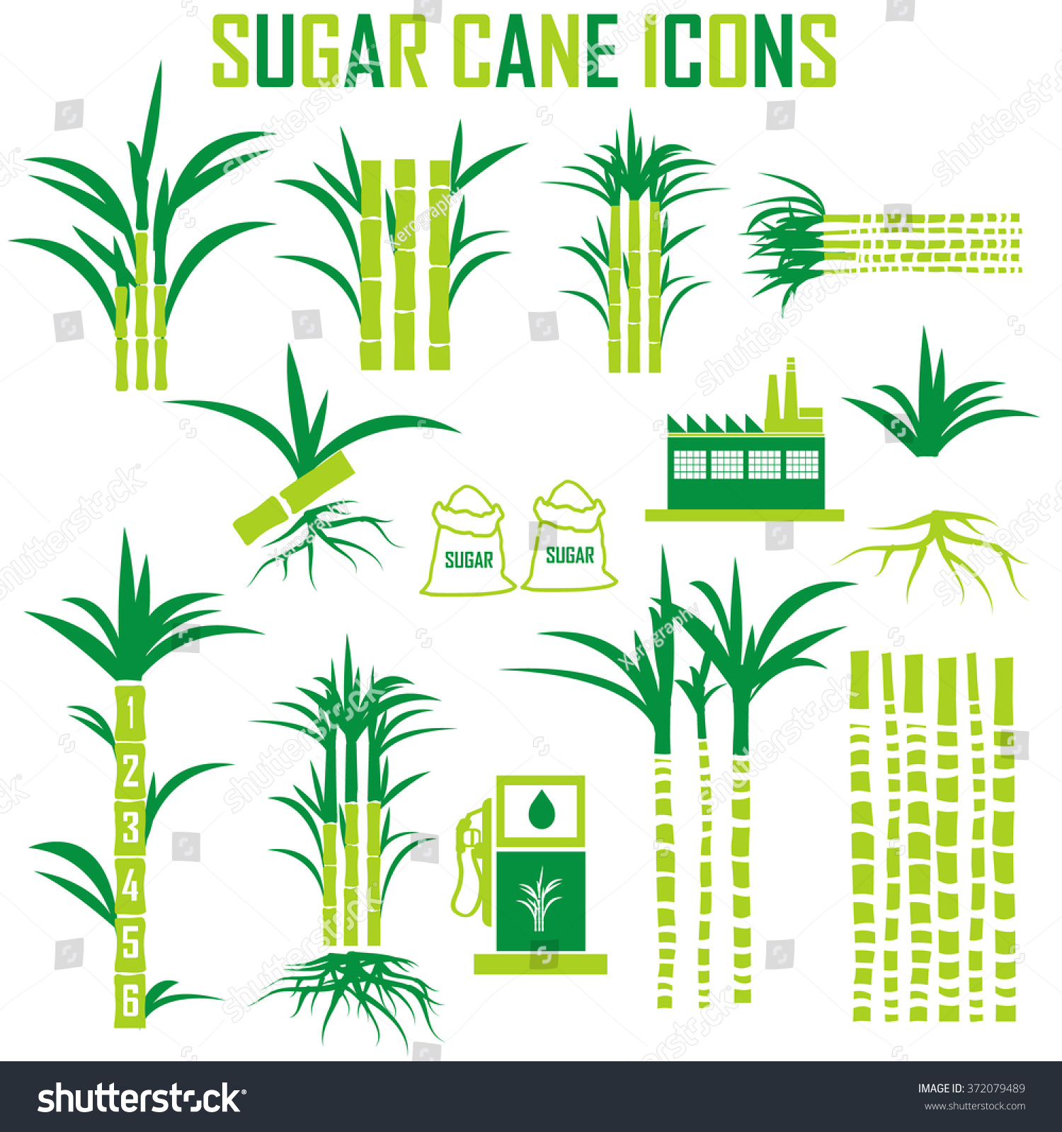 Sugar Cane Icons Vector Royalty Free Stock Vector 372079489