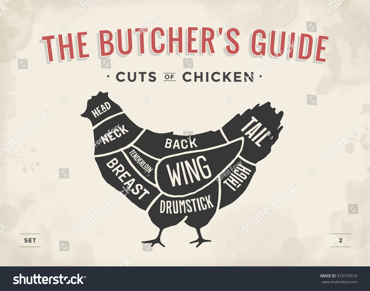 Cut Of Meat Set Poster Butcher Diagram And Royalty Free Stock Vector 373137610 