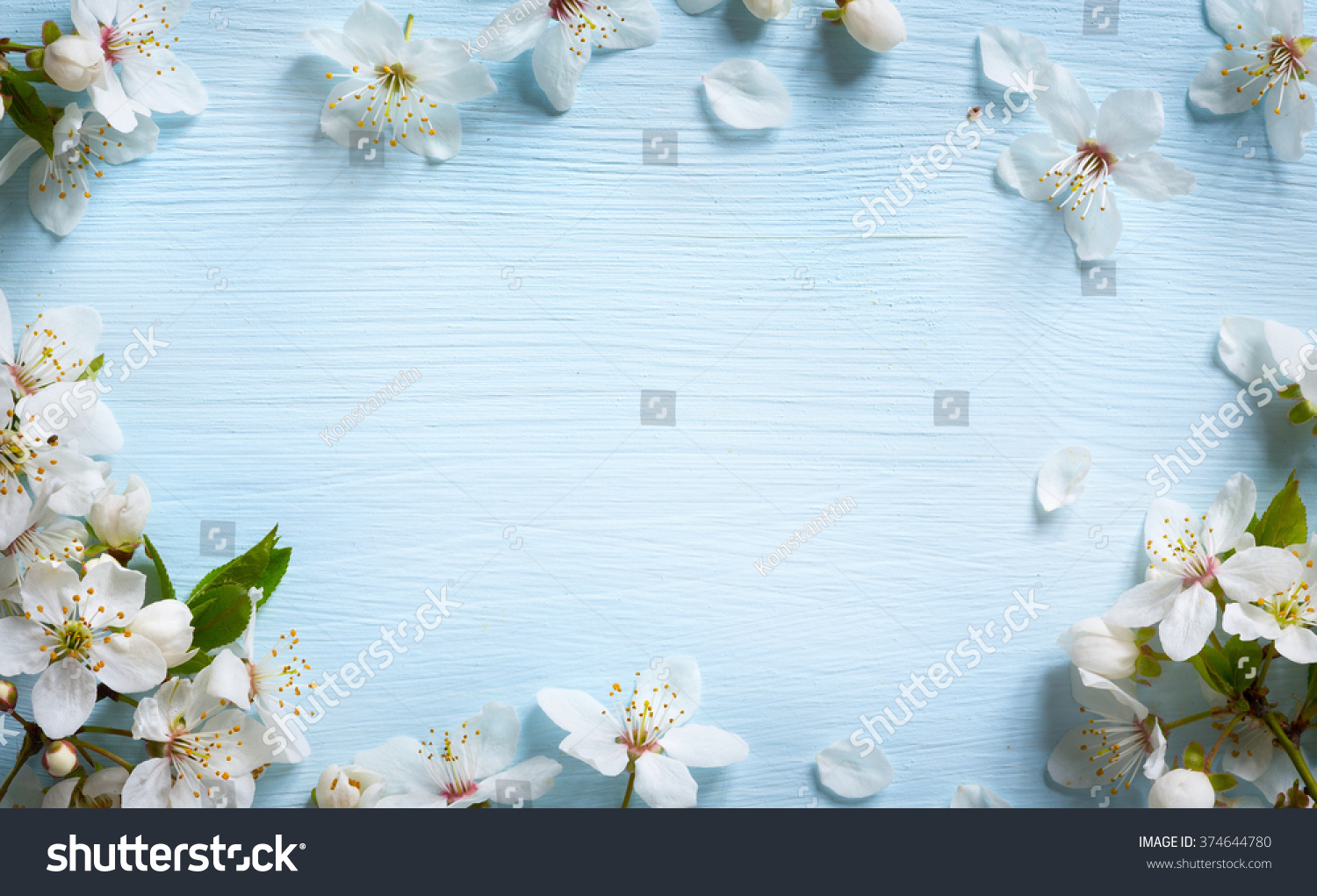 Spring border background with white blossom
 #374644780