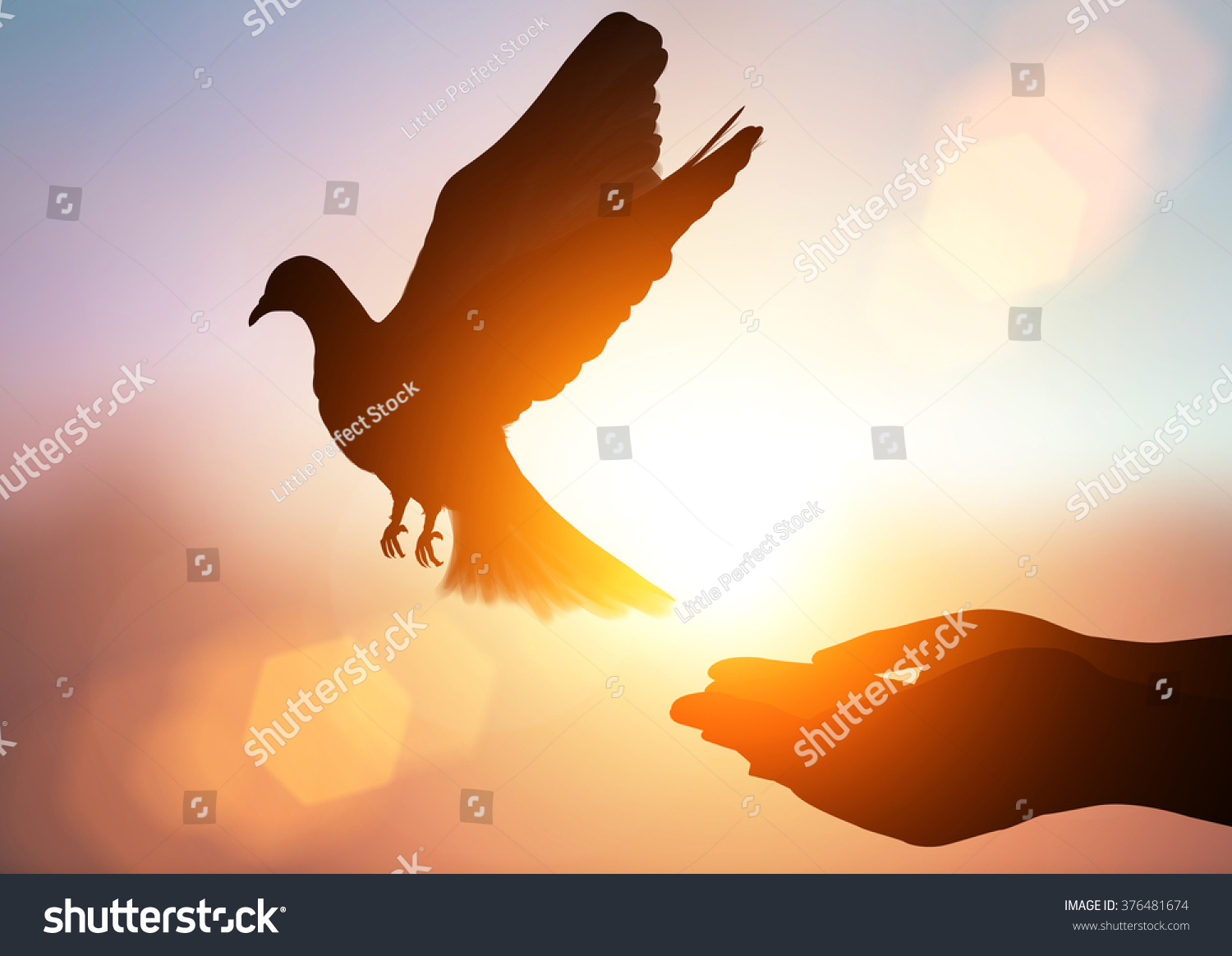 silhouette pigeon flying out of two hand and freedom concept  and international day of peace 2017 #376481674