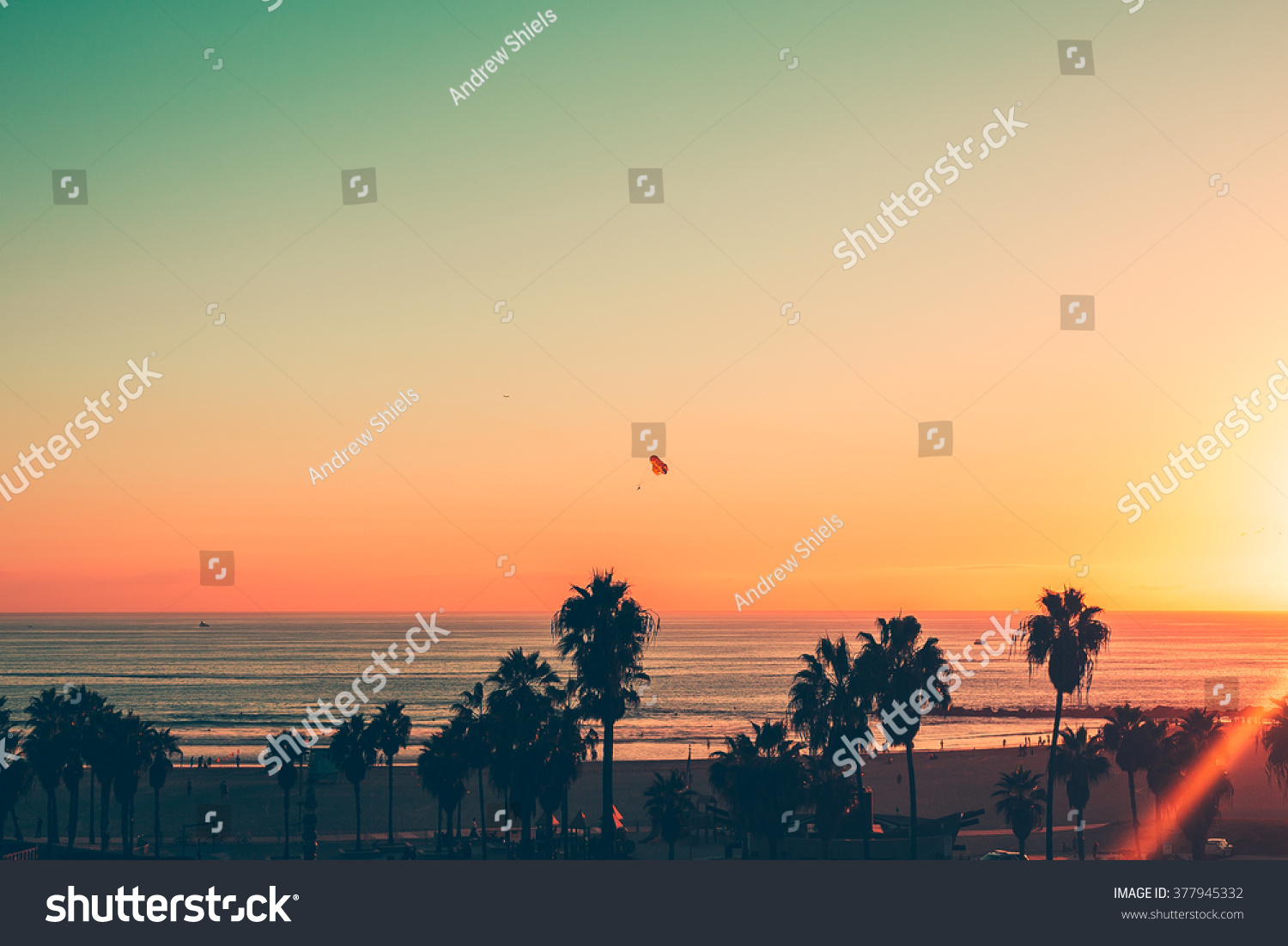 Venice Beach Sunset - LA #377945332