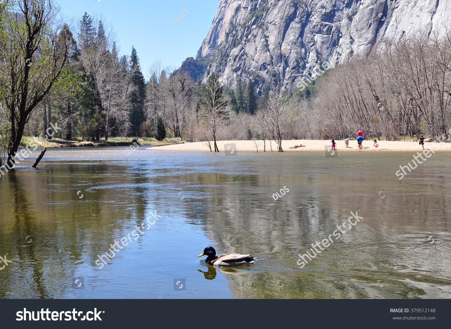 Swinging Bridge Picnic Area Yosemite Stock Photo 379512148