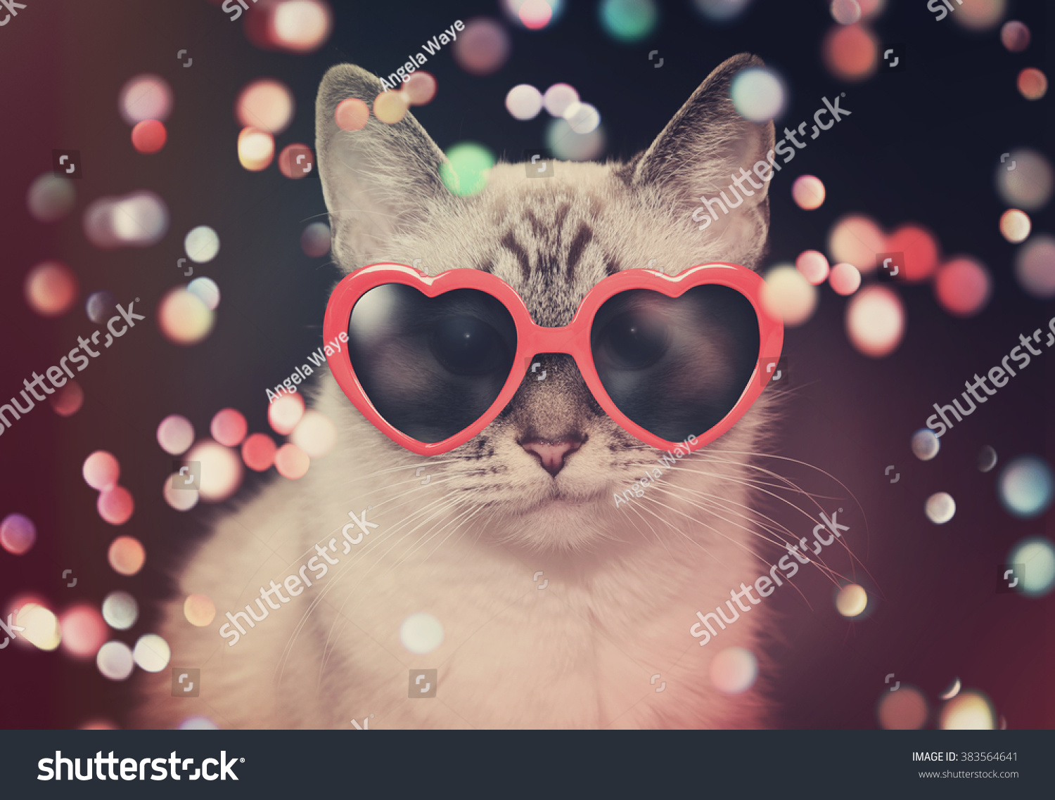 A white cute cat with red heart sunglasses is on a black background with colorful sparkles around the pet for a party or celebration concept. #383564641