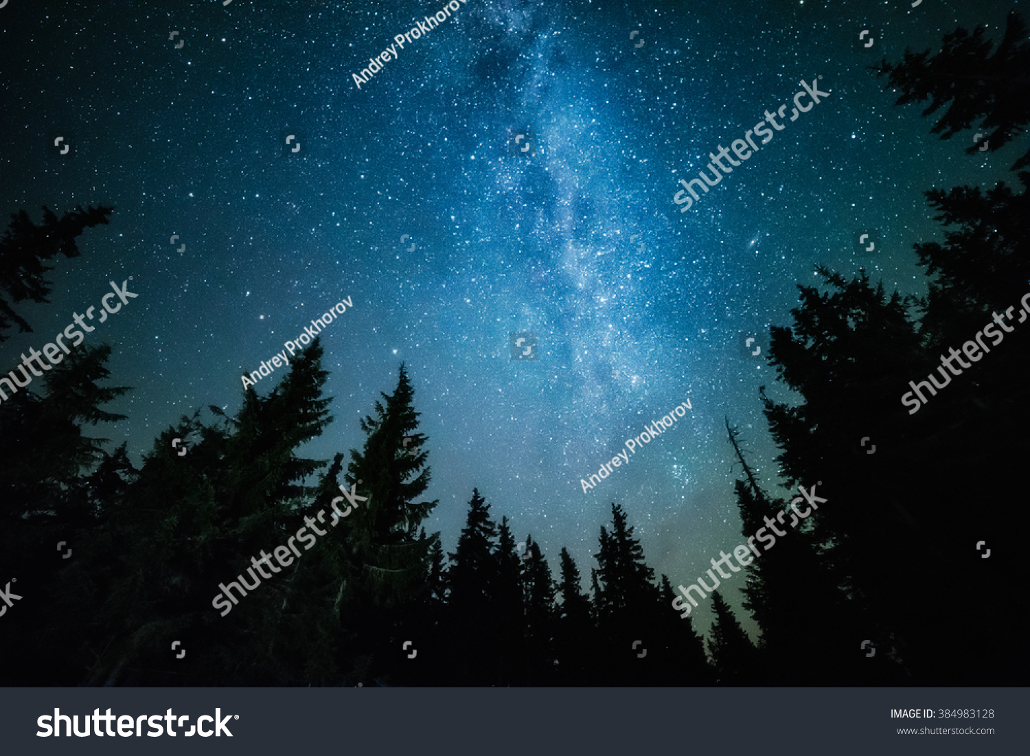 The Milky Way rises over the pine trees on a foreground #384983128