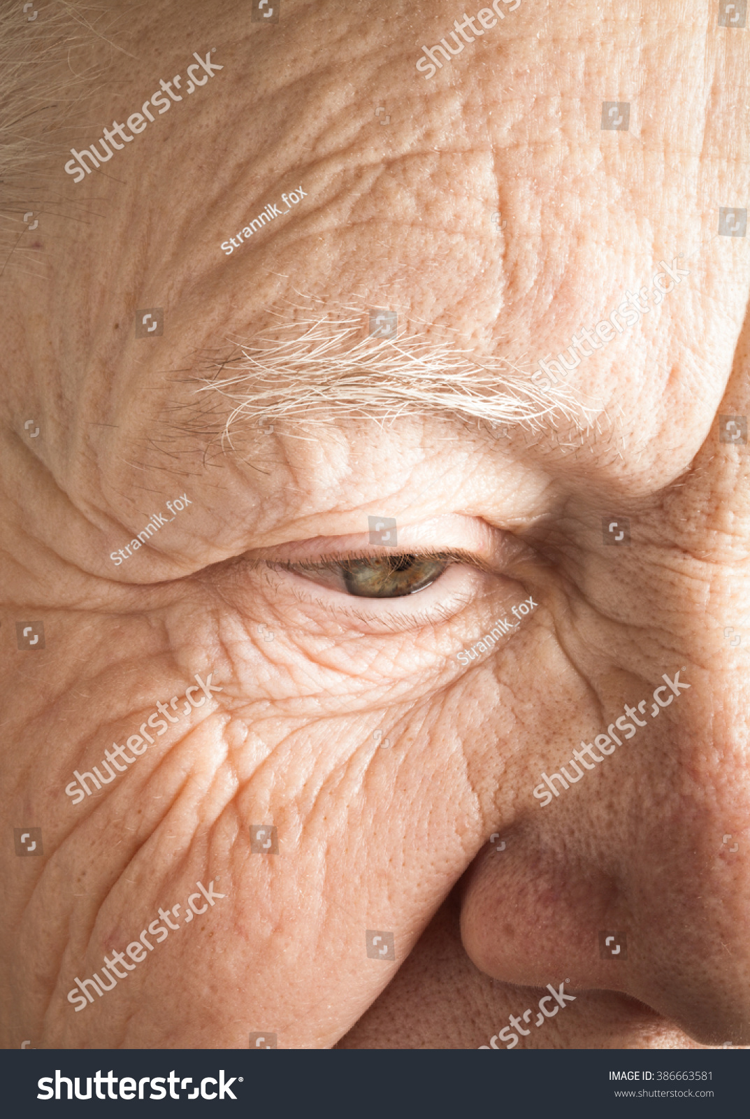 Portrait of elderly woman. Closeup view. Toned. #386663581