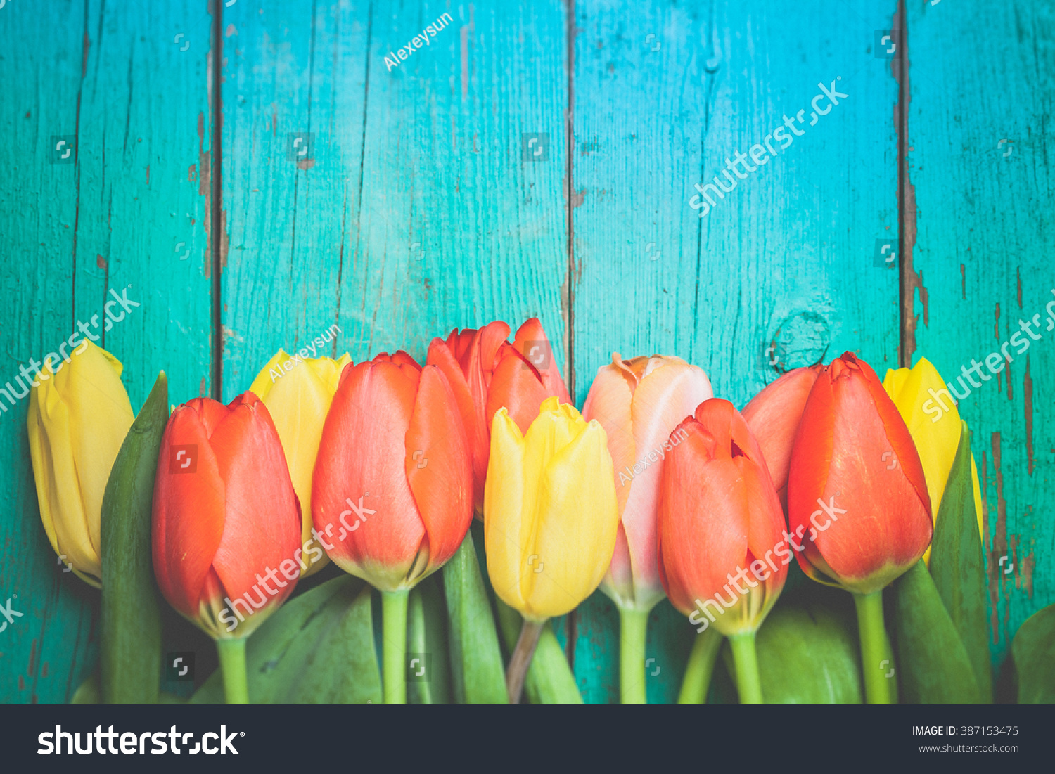 Toned photo. Color tone tuned. Fresh red tulip flowers bouquet on wood. Natural spring or Valentine's Day, Mother's Day theme.  #387153475