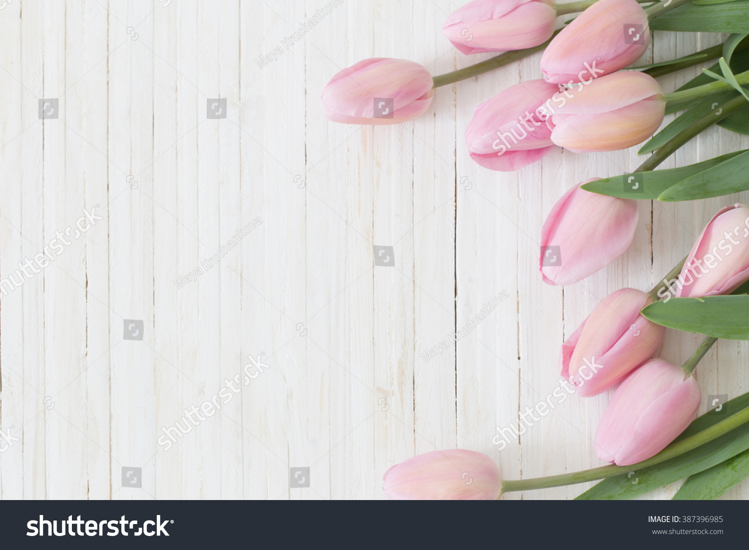 beautiful tulips on wooden background #387396985