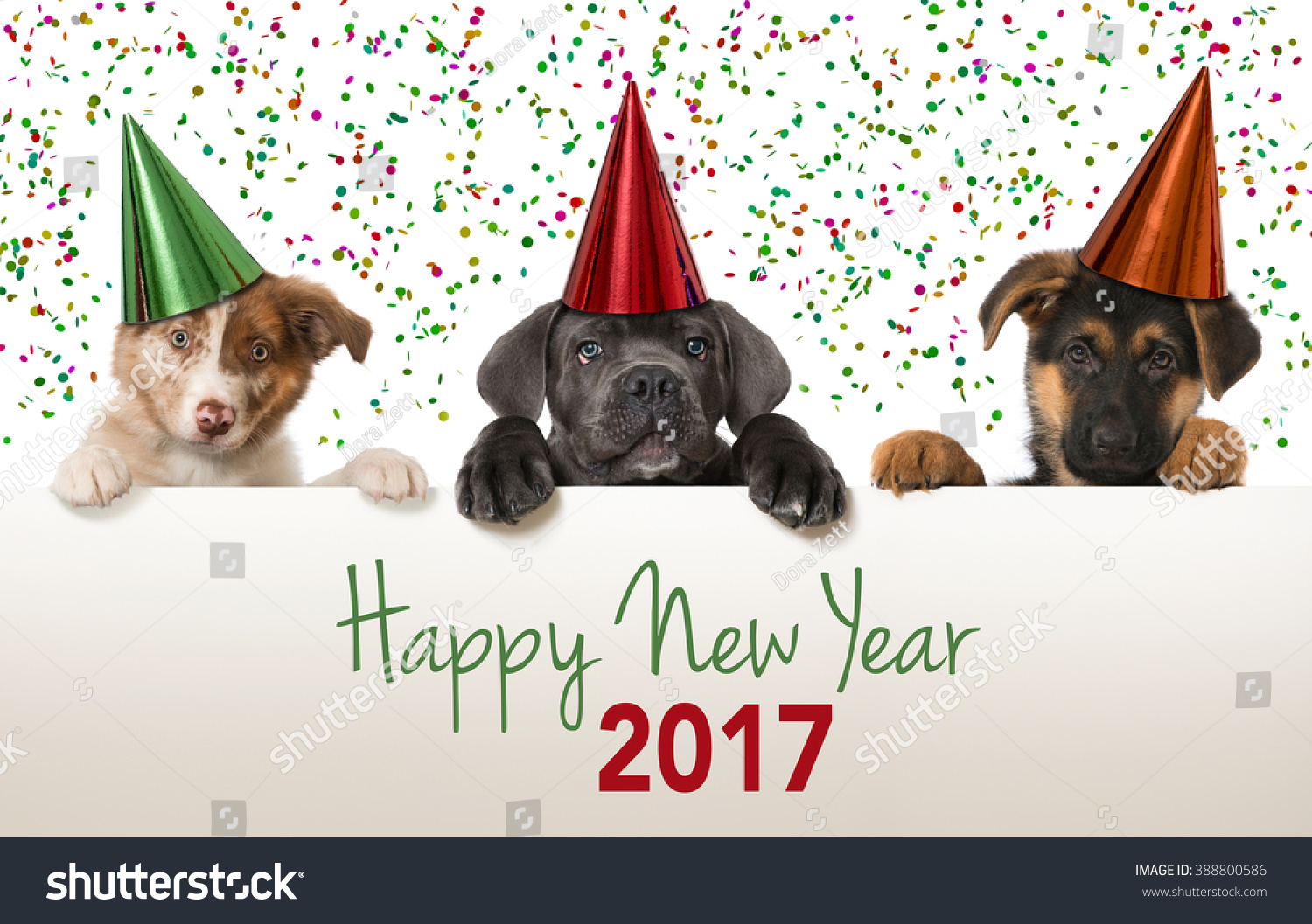 Happy new year puppies #388800586