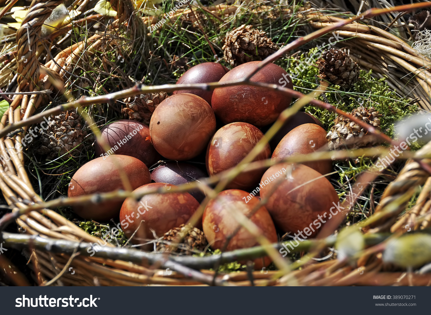 natural brown Easter eggs nature #389070271