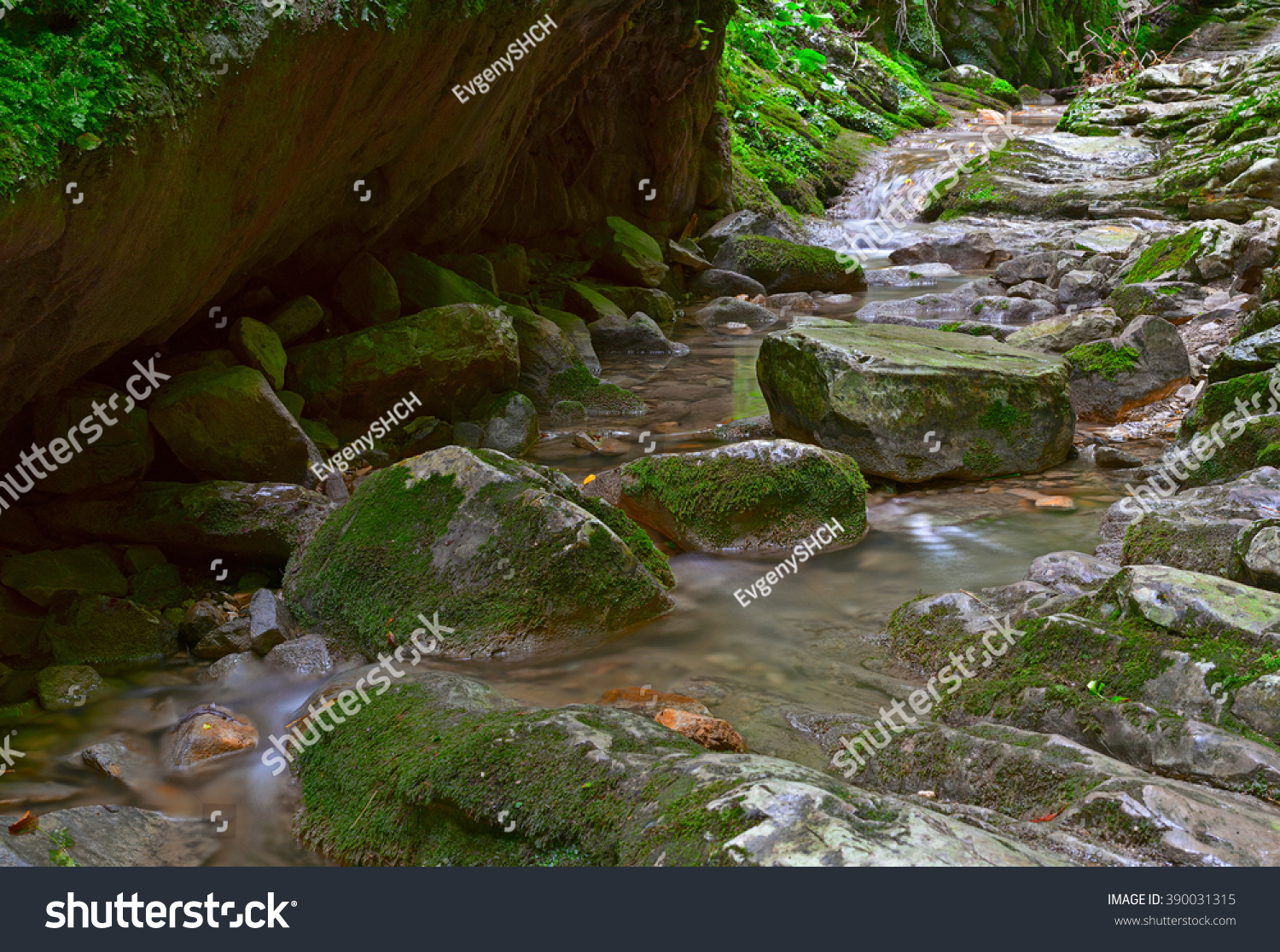 Nature. Amazing water flow in deep forest landscape.  #390031315
