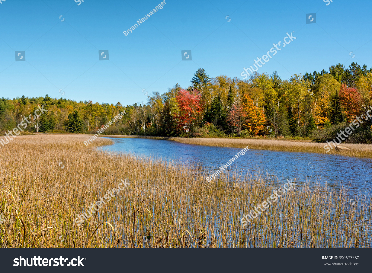 Fall colors accentuate the shoreline of the - Royalty Free Stock Photo ...