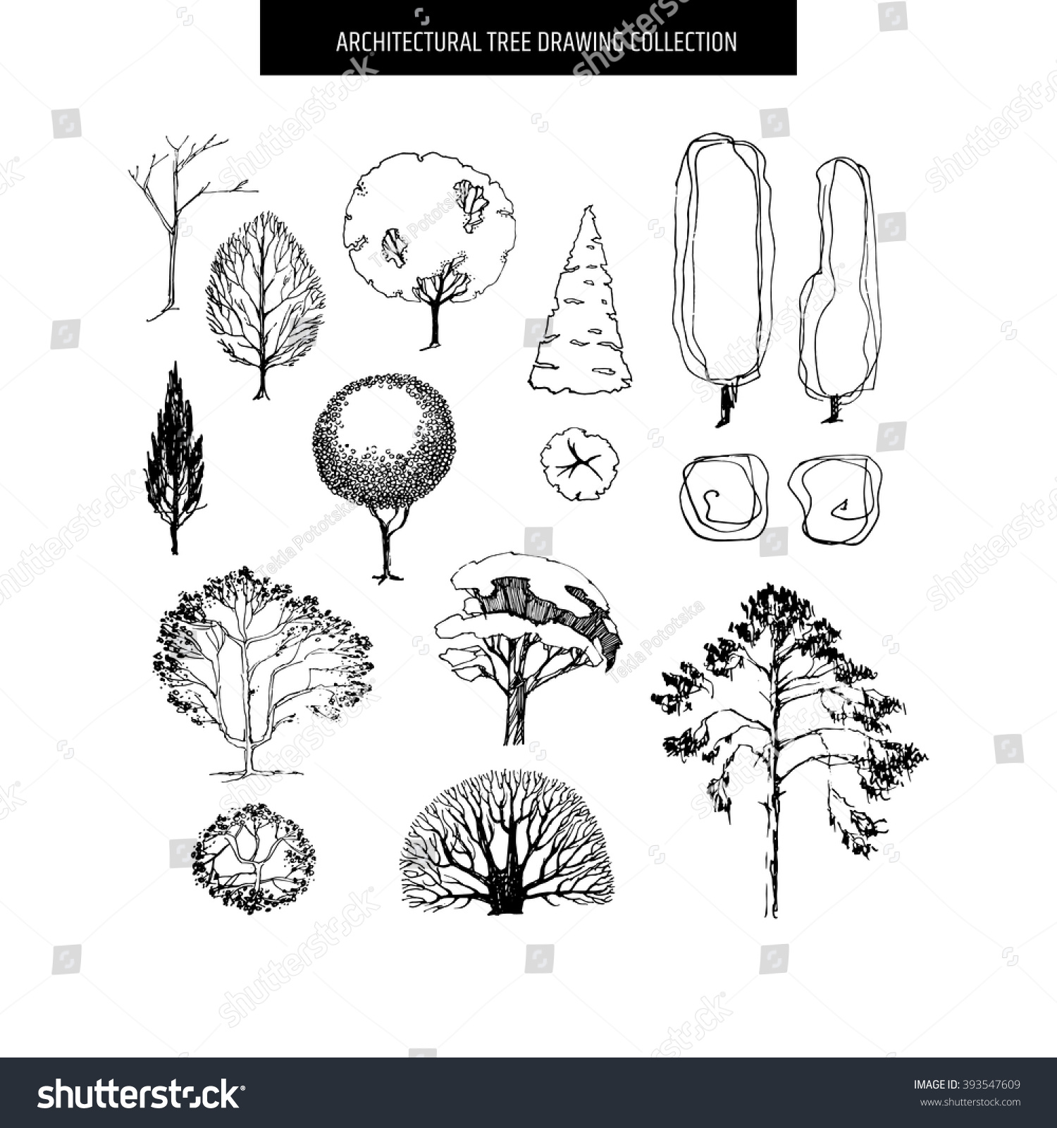 Architecture Drawing Of Trees royalty-free different hand drawn trees isolated on… #393547609 Architecture Drawing Of Trees royalty-free different hand drawn trees isolated on… #393547609