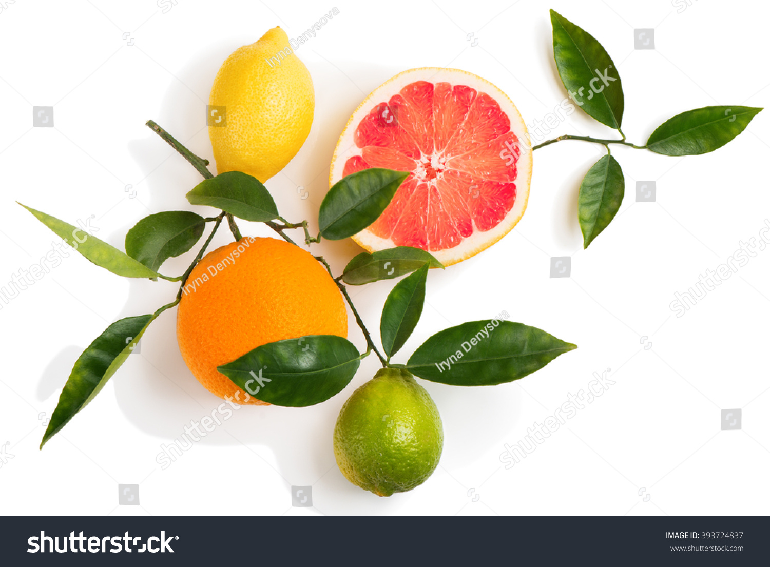 Top view of citrus fruits (grapefruit, orange, lemon, lime) on a branch with green leaves isolated on white background. #393724837