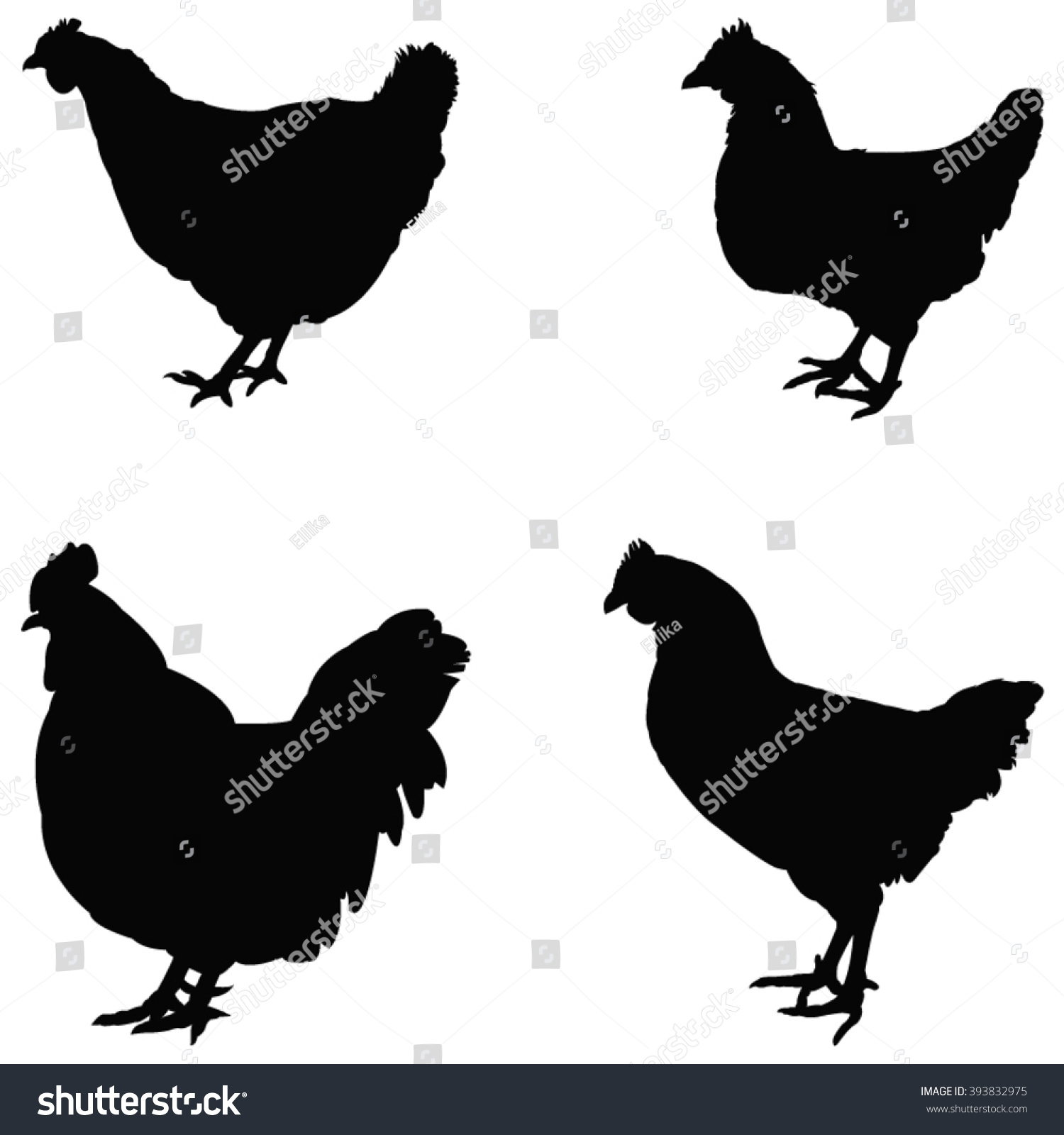 Hens Silhouette Vector Illustration Royalty Free Stock Vector 393832975 