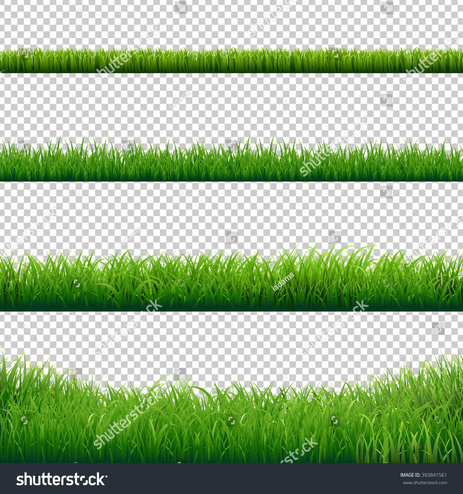 Green Grass Borders Set, Vector Illustration #393841561