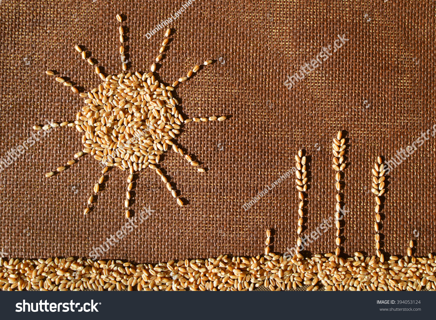 Drawn by wheat grains sun shining over wheat field #394053124