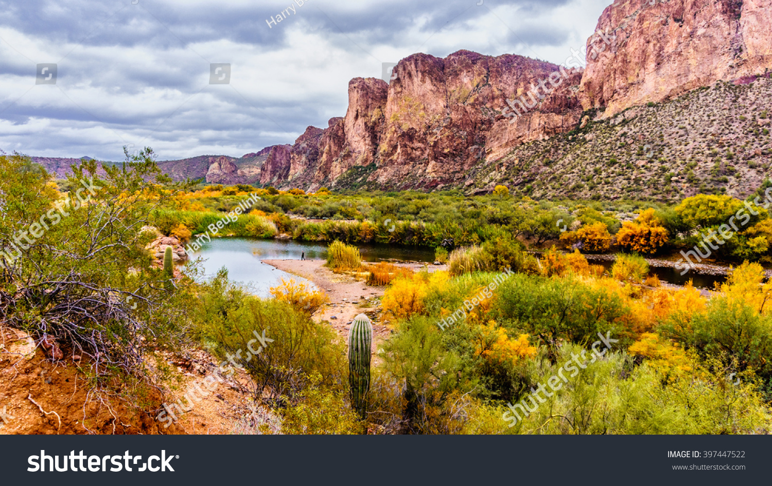 The Salt River and surrounding Mountains in the state of Arizona with fall colored shrubs and trees #397447522