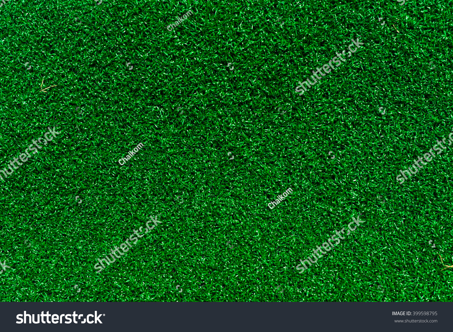 Artificial Grass Field Top View Texture #399598795