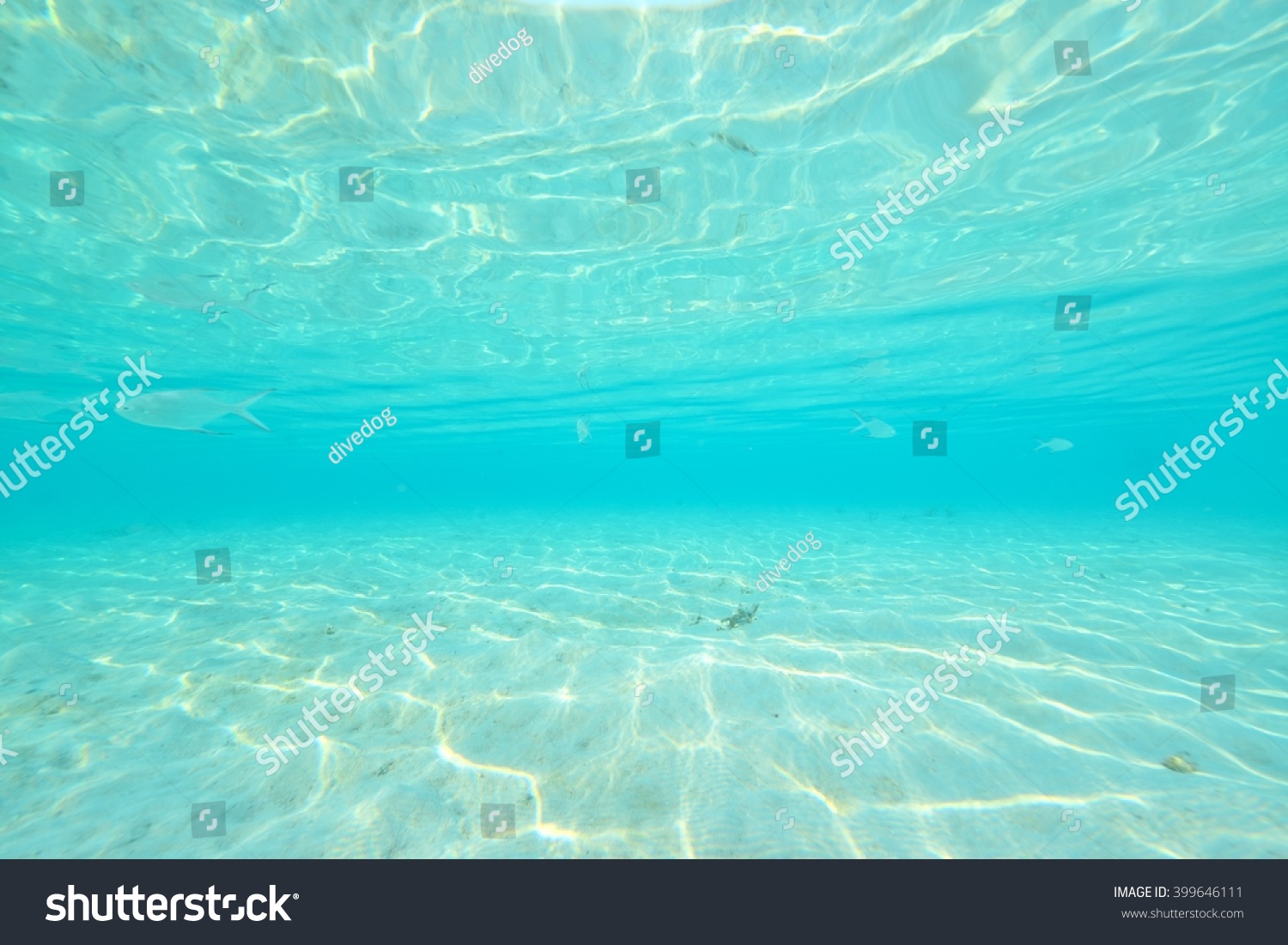clear water #399646111