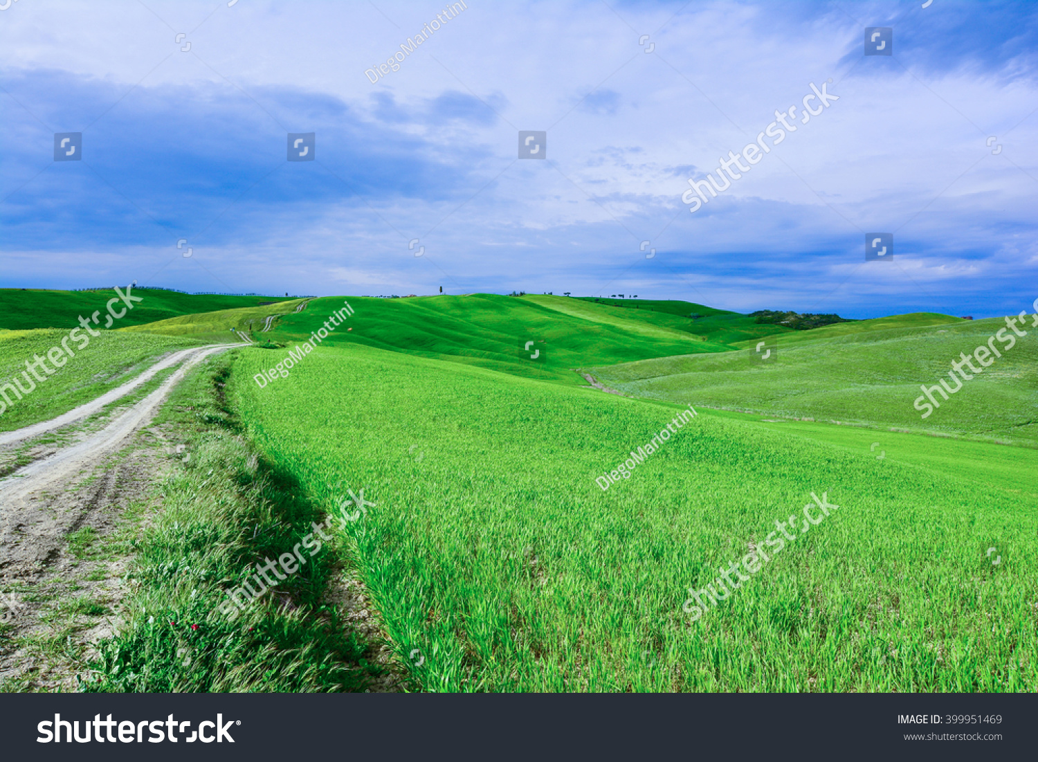 road in the green Tuscany sienna Italy val d'orcia #399951469