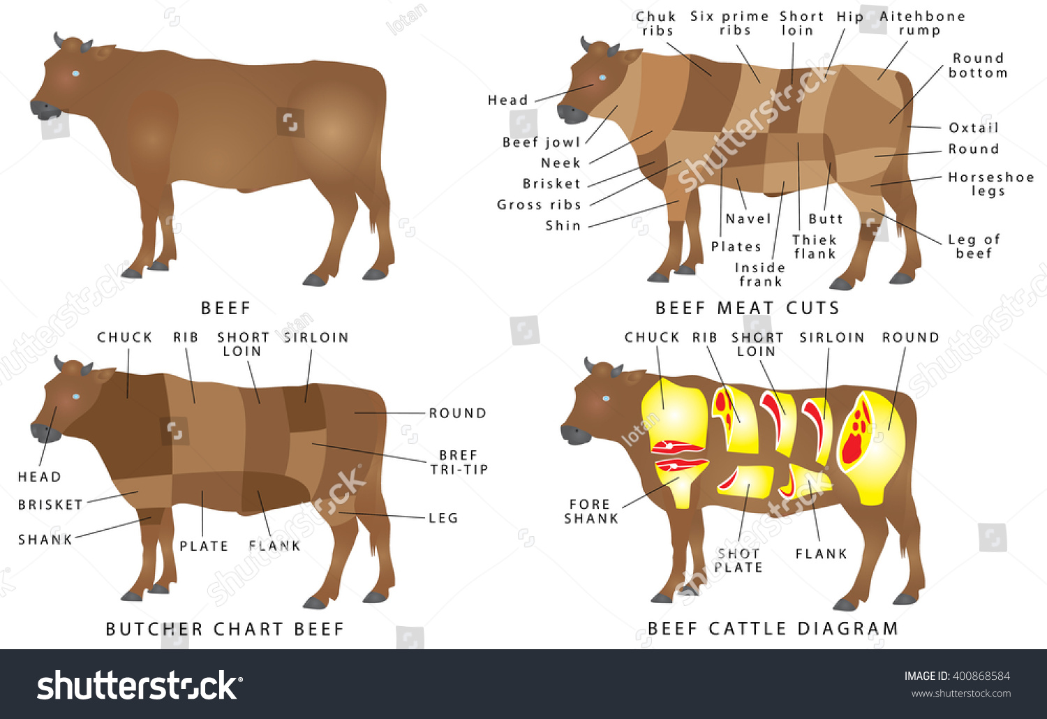 Beef chart. Cuts of beef. Beef cuts diagram. - Royalty Free Stock ...