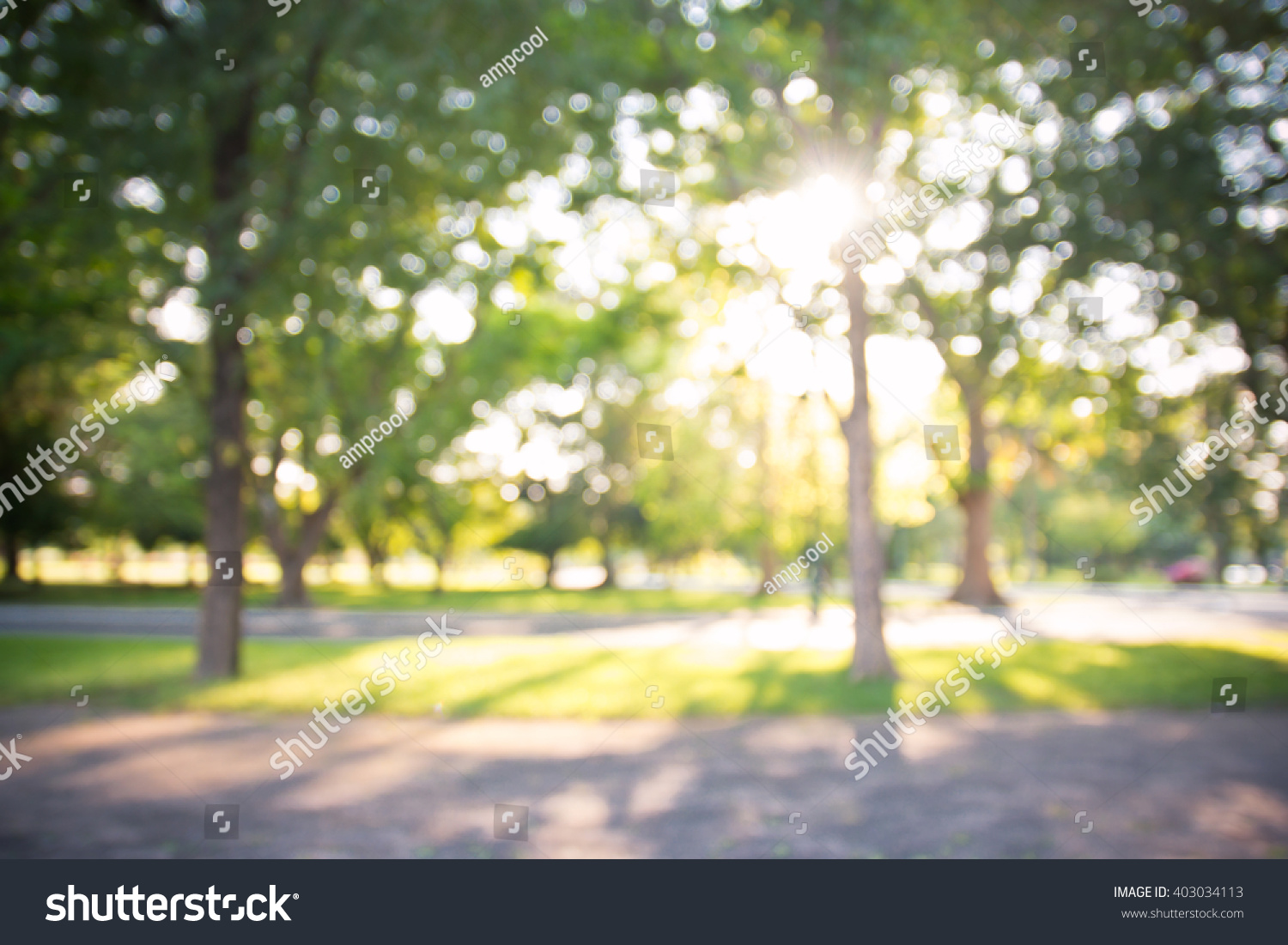 defocused bokeh background of garden with blossoming trees in sunny day, backdrop, summer time #403034113