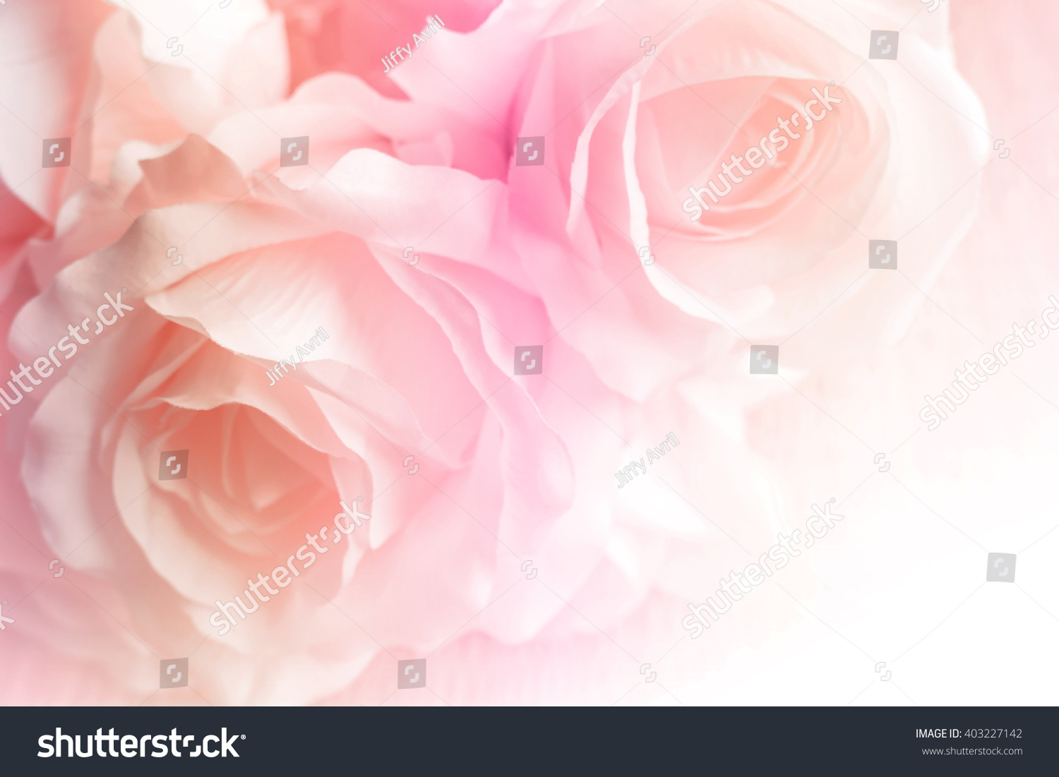 Sweet color roses in soft style for background #403227142