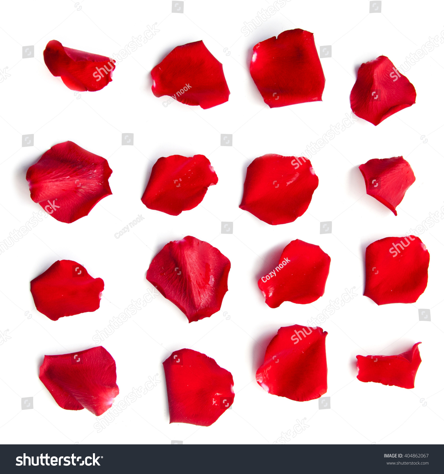 Set of 16 red rose petals on white background #404862067