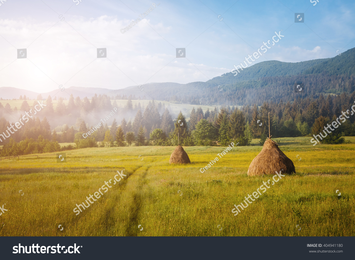 Fantastic day with fresh blooming hills in warm sunlight. Dramatic and picturesque morning scene. Location place: Carpathian, Ukraine, Europe. Artistic picture. Beauty world. Soft filter effect. #404941180