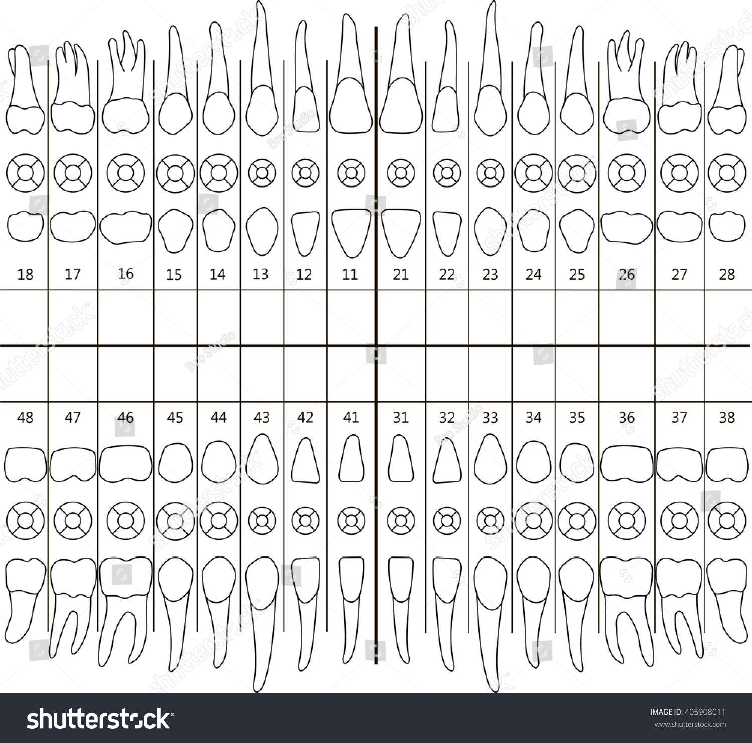 dental note for the teeth clinic - Royalty Free Stock Vector 405908011 ...