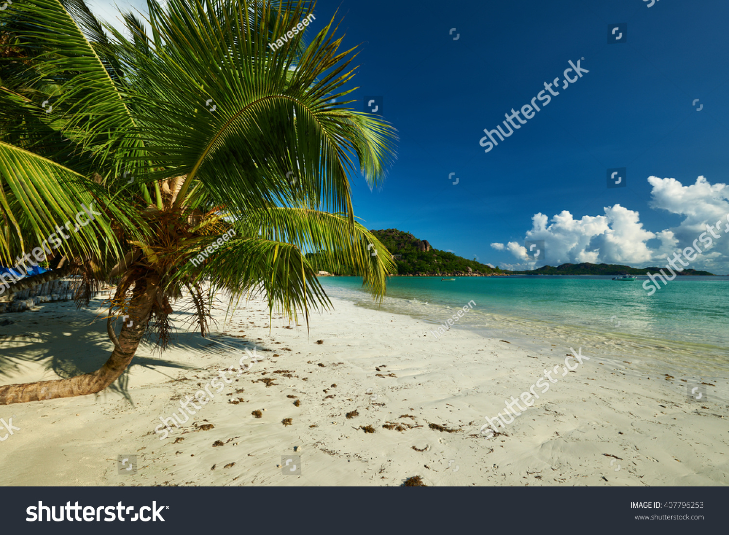 Beautiful beach with palm tree at Seychelles, Praslin, Cote d'Or #407796253