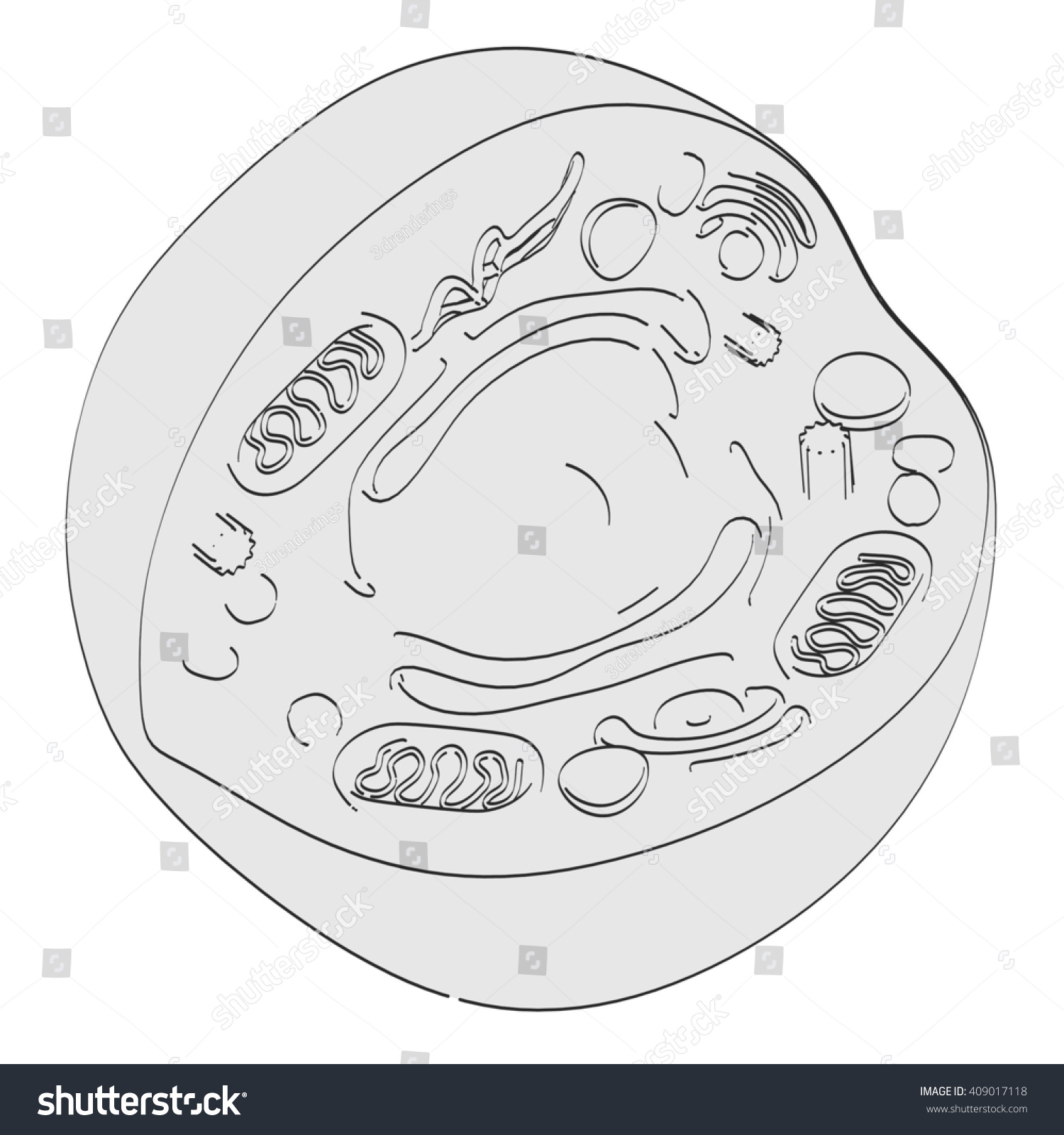 2d cartoon illustration of human cell - Royalty Free Stock Photo ...