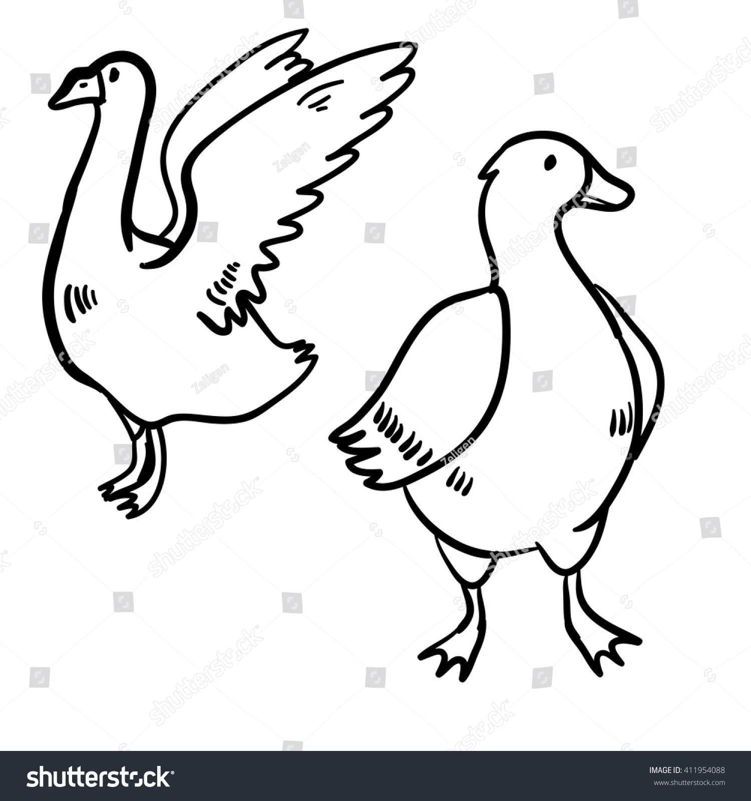 Vector illustration set with goose and duck. - Royalty Free Stock ...