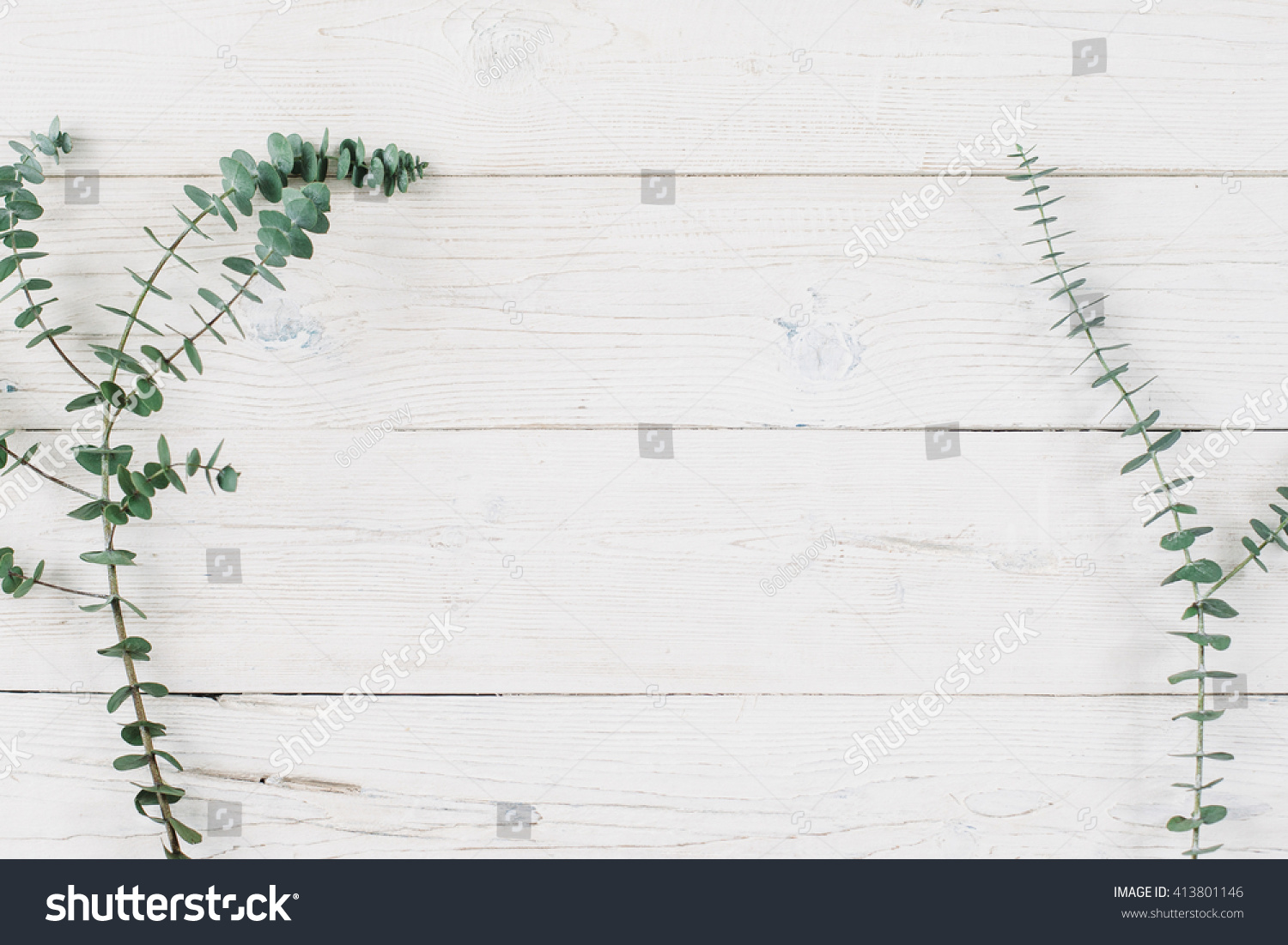 Spring plant over wood background. Decorative plant branch top view on white wooden background with free space. Rustic background with flat lay green plant. #413801146