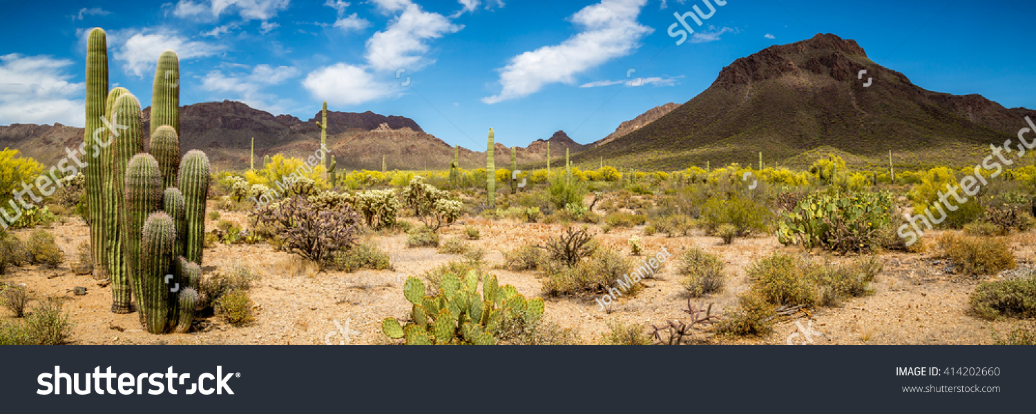 Arizona Desert Landscape  #414202660